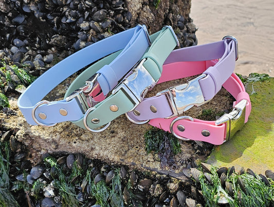 Burnt Orange - Everlast Waterproof BioThane© Quick-Release Buckle Dog Collar