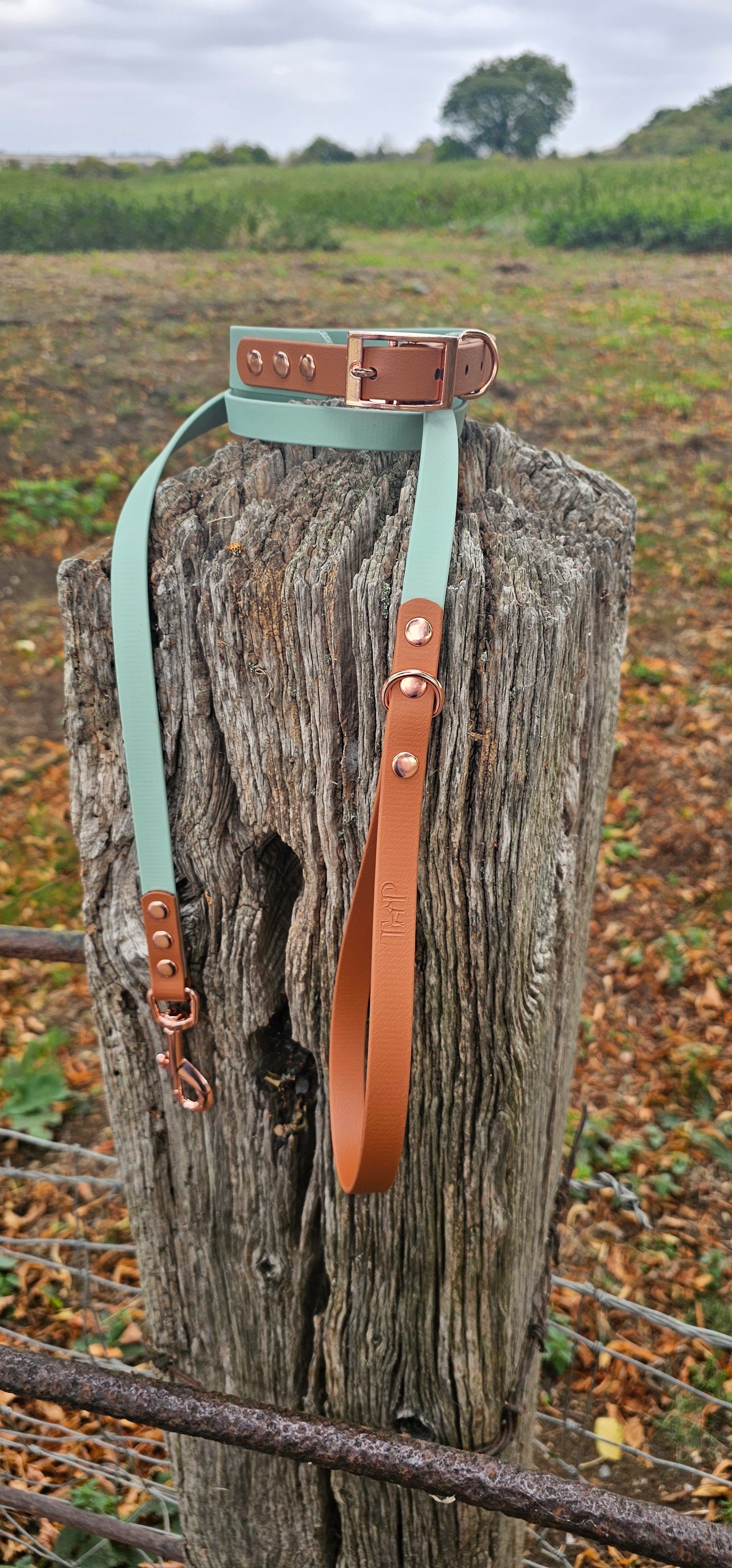 Sage & Tan - Waterproof BioThane© two-coloured Dog Collar