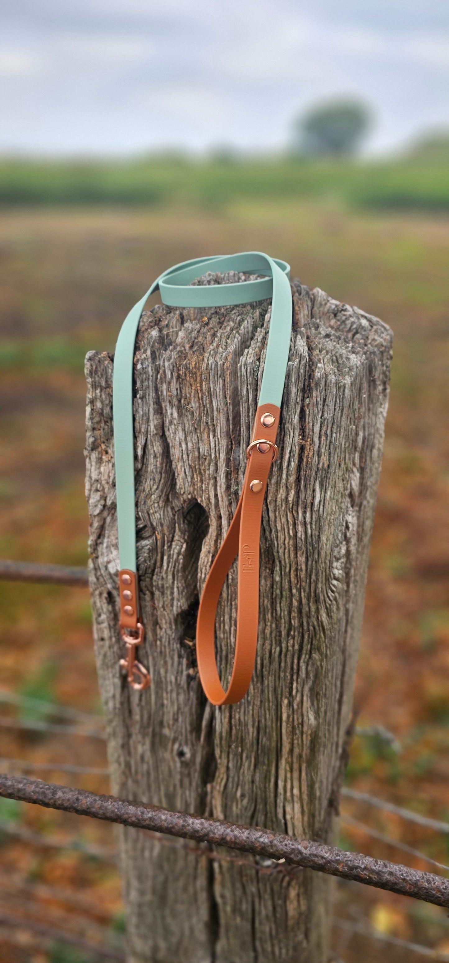 Sage & Tan - Waterproof BioThane© Dog Lead