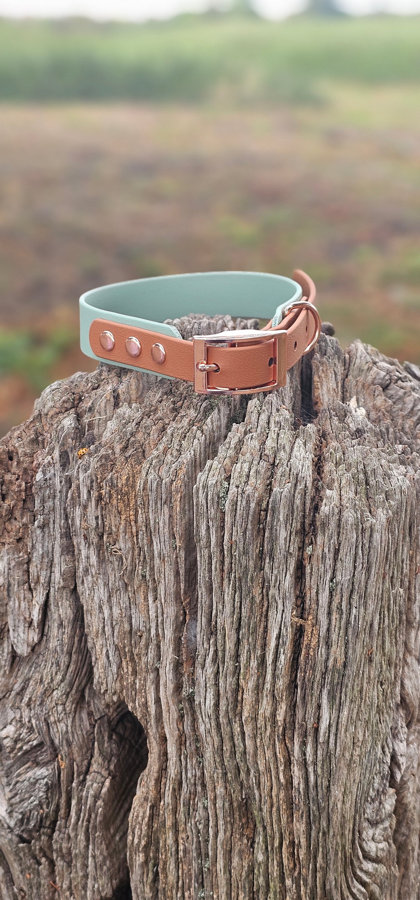 Sage & Tan - Waterproof BioThane© two-coloured Dog Collar