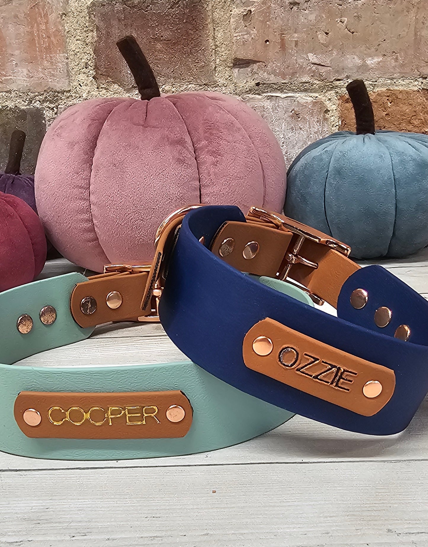 Biothane Collar and Lead Personalisation - Engraving