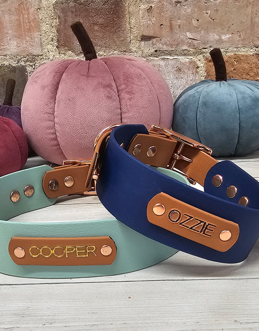 Biothane Collar and Lead Personalisation - Engraving