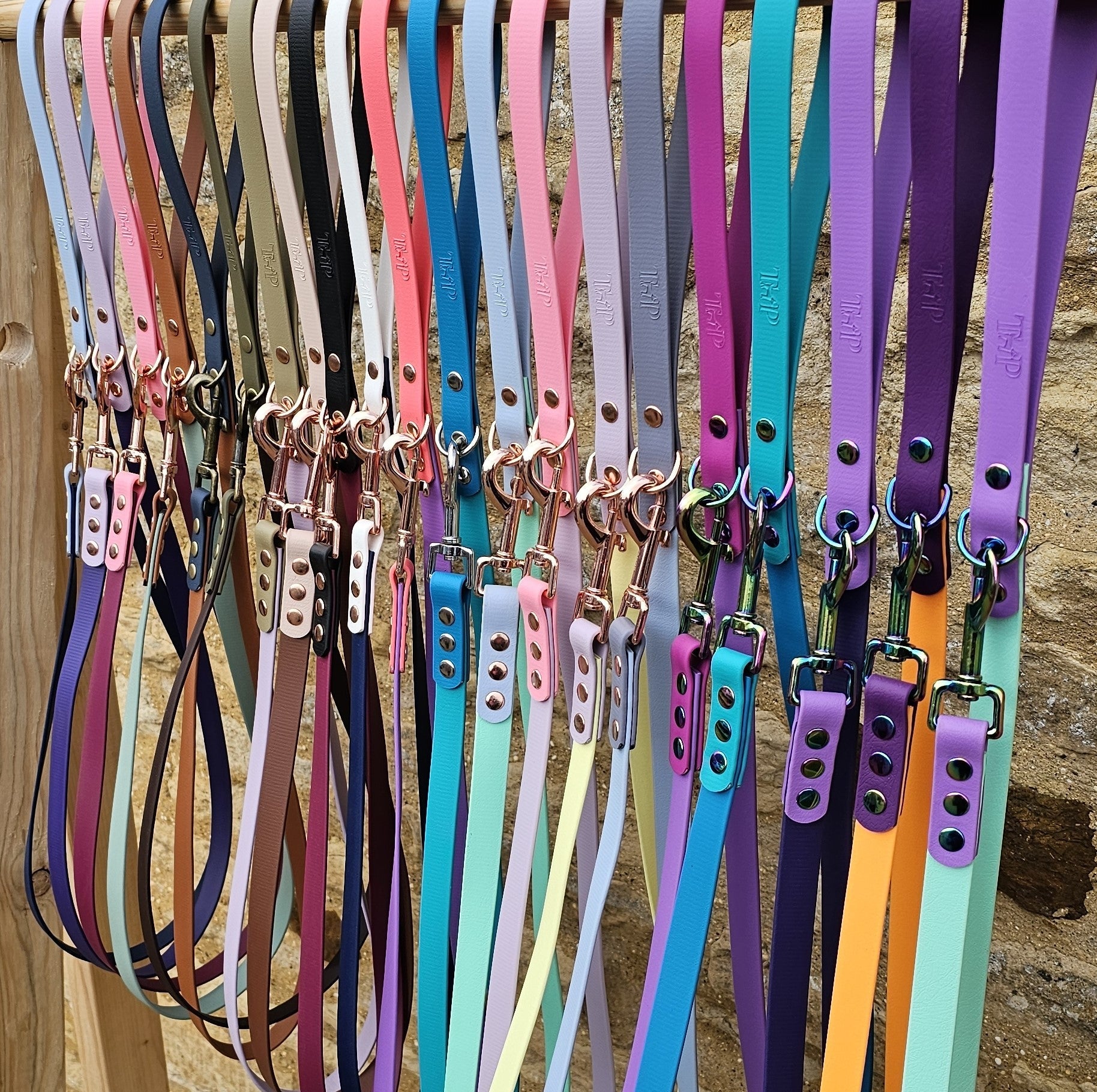 Colorful dog leashes hanging on a wooden rack against a stone wall.