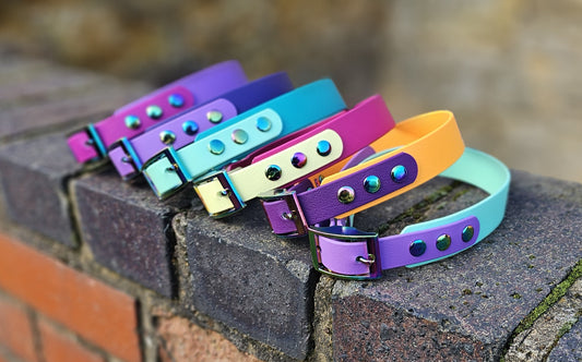 Waterproof BioThane© two-coloured Dog Collar - Design Your Own