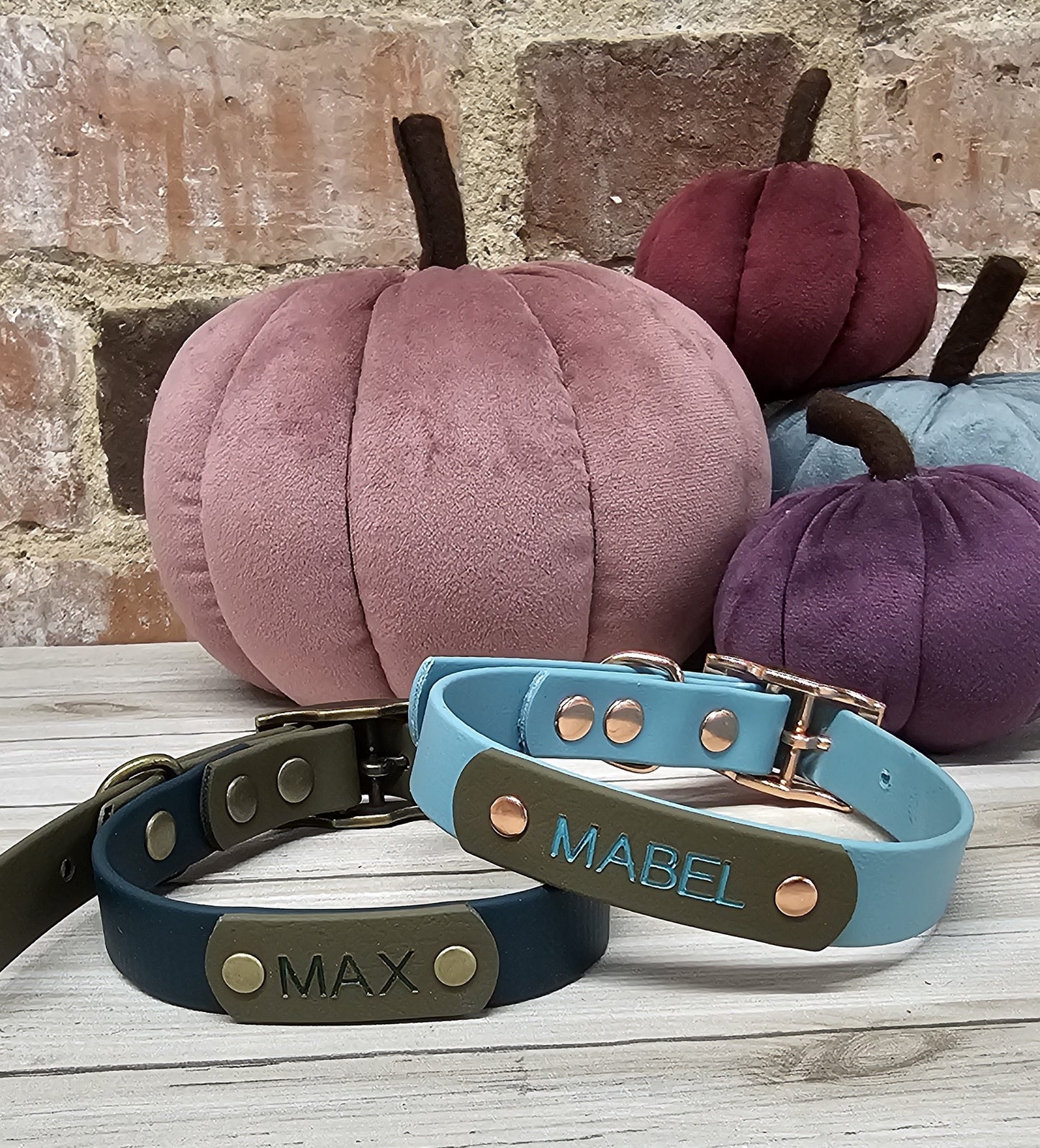 Biothane Collar and Lead Personalisation - Engraving