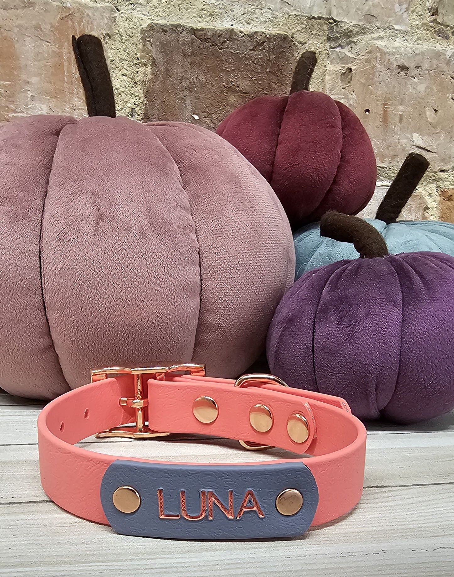 Biothane Collar and Lead Personalisation - Engraving