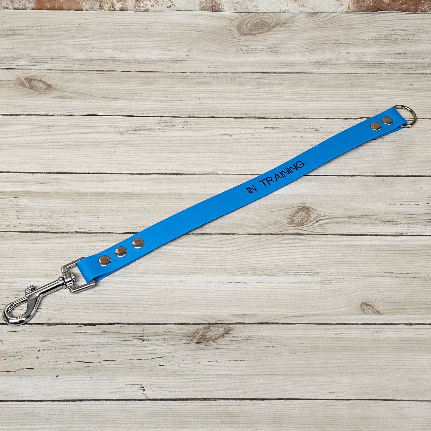 Waterproof BioThane® Dog Lead Awareness Strap - Design Your Own