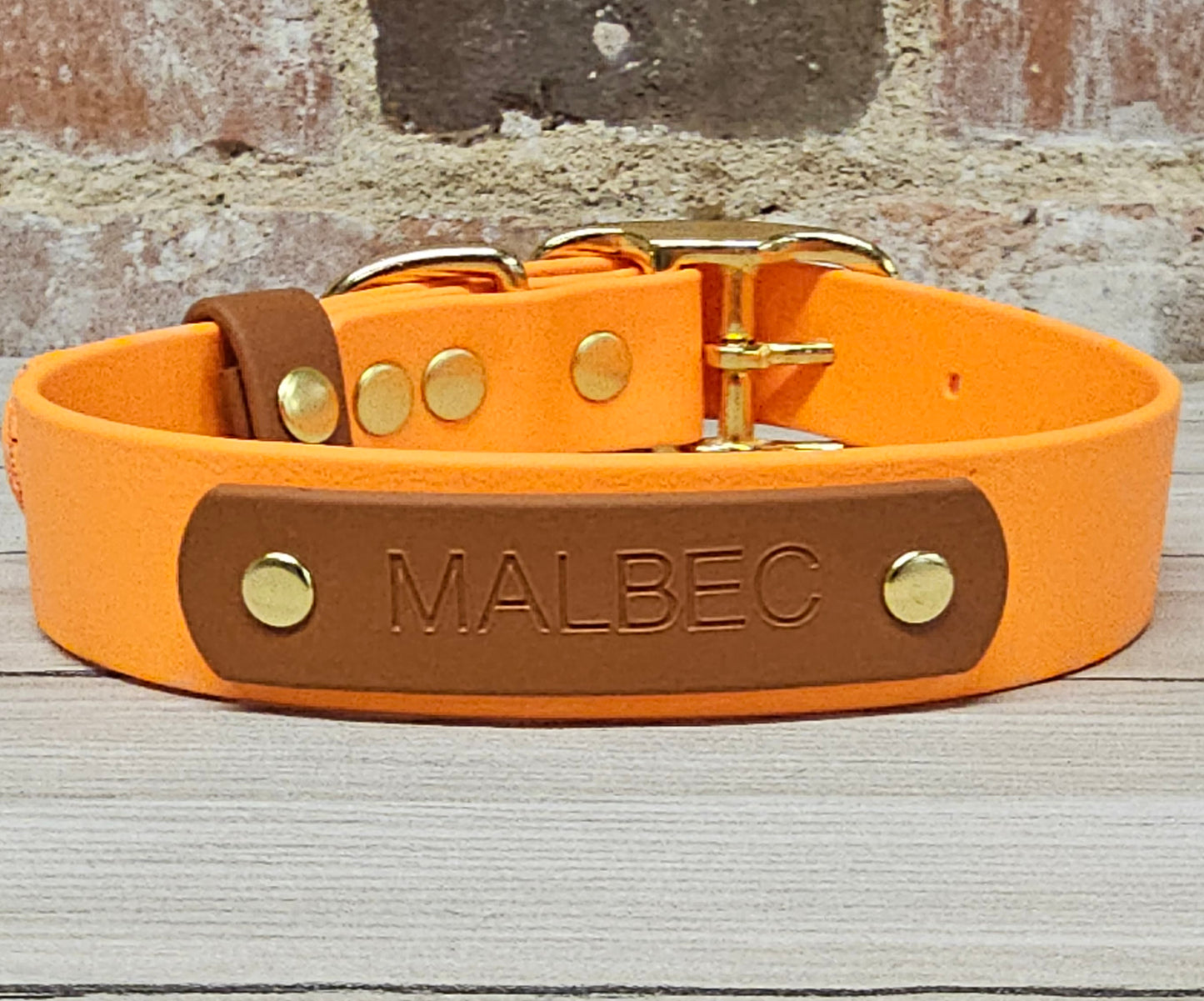 Biothane Collar and Lead Personalisation - Engraving