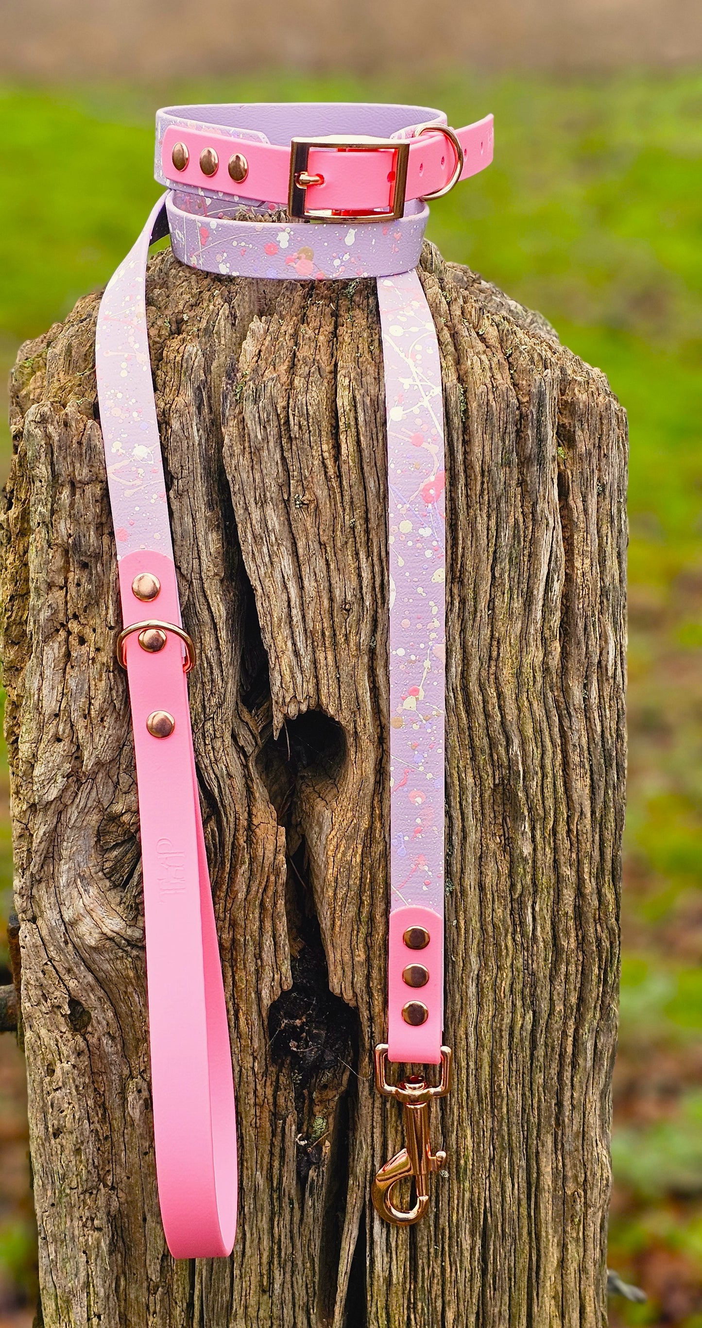 Petal Blossom - Waterproof BioThane© Splatter Dog Collar - Pastel Collection