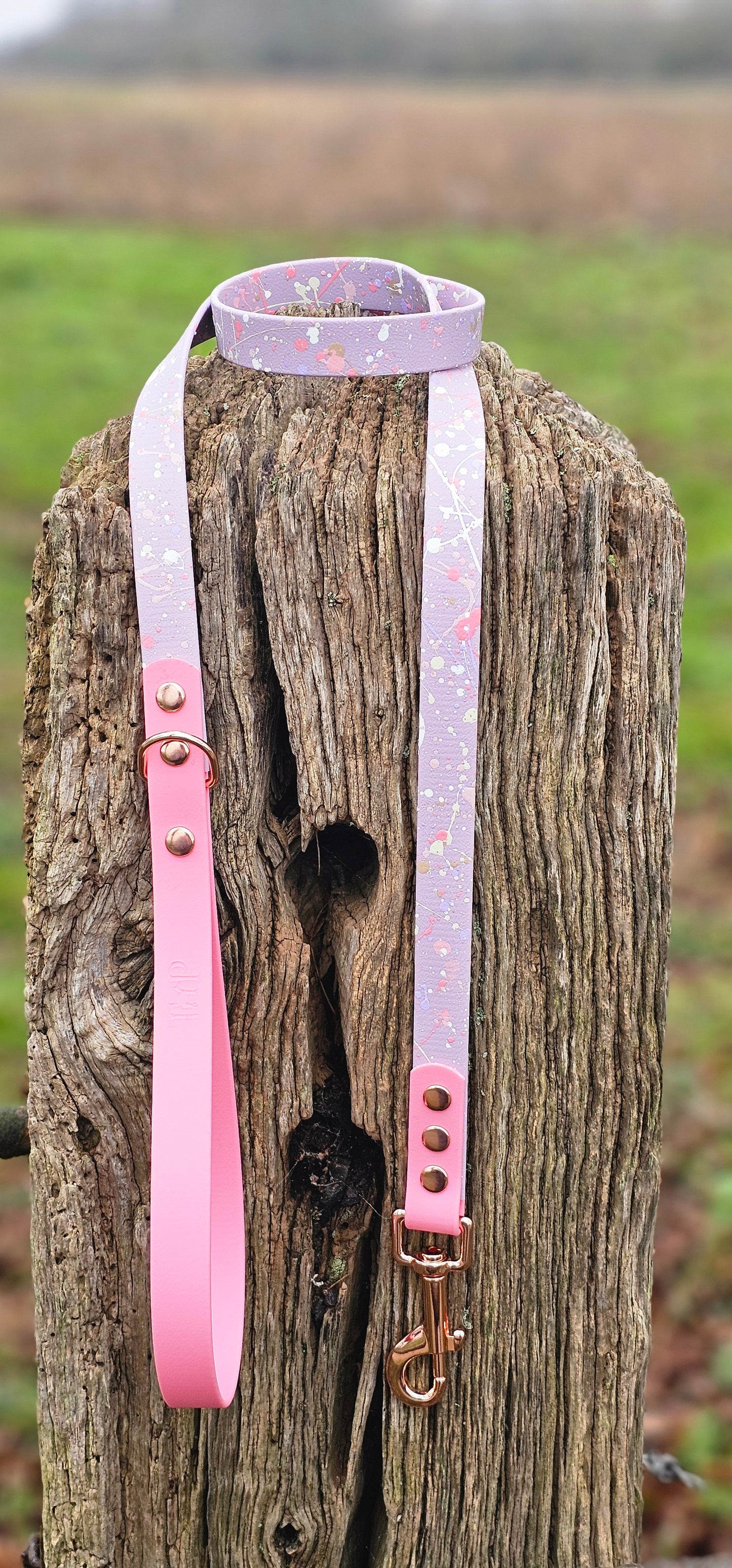 Petal Blossom - Waterproof BioThane© Splatter Dog Lead - Pastel Collection