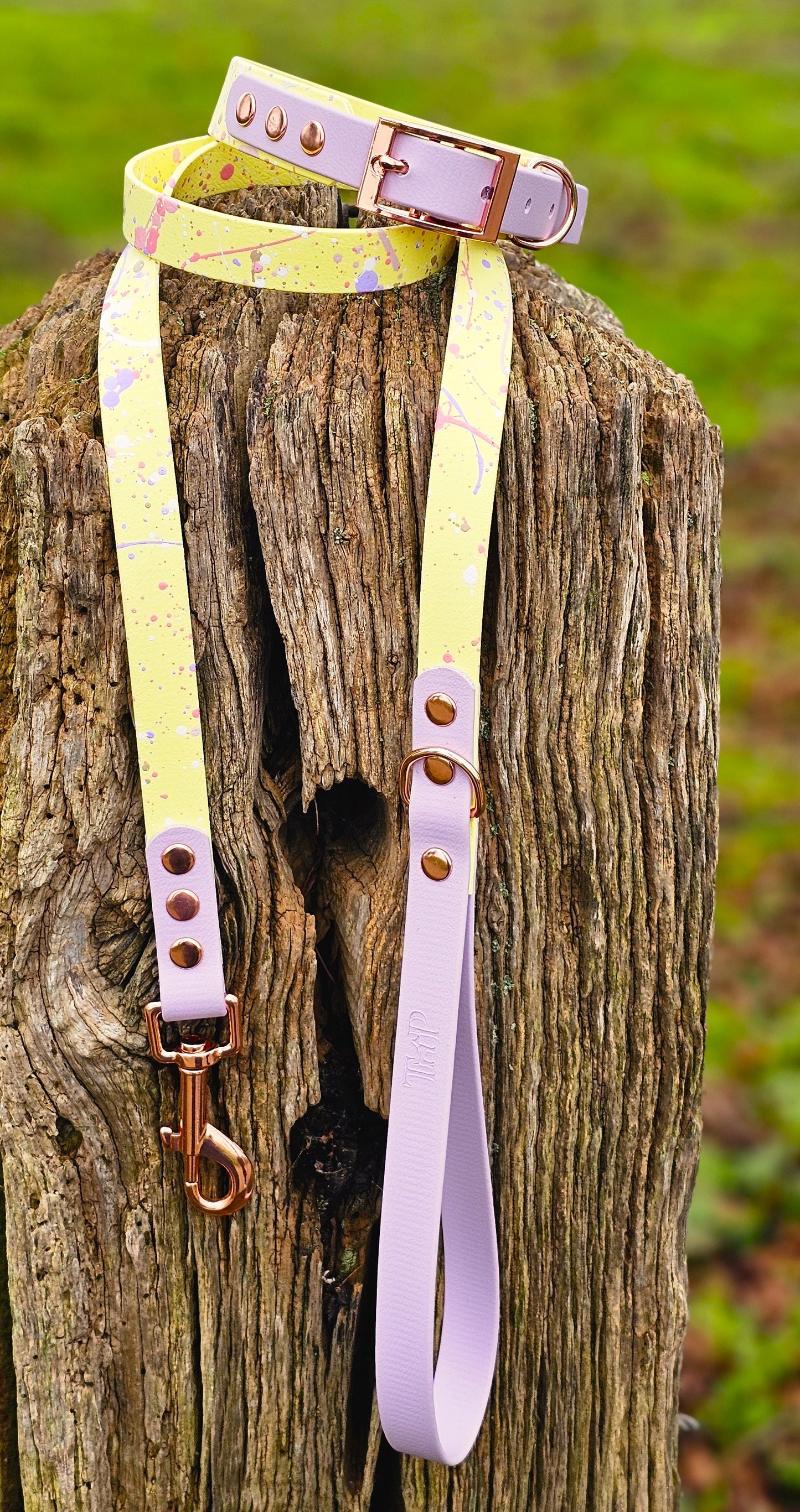 Lavender Lemonade - Waterproof BioThane© Splatter Dog Collar - Pastel Collection