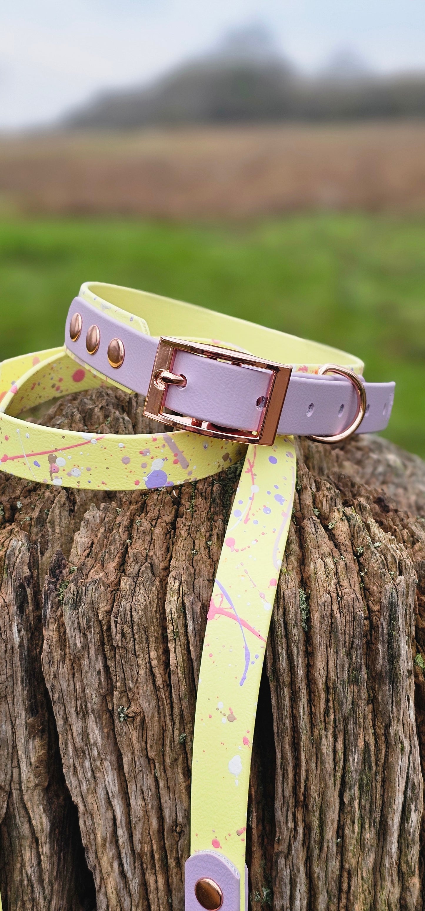 Lavender Lemonade - Waterproof BioThane© Splatter Dog Collar - Pastel Collection