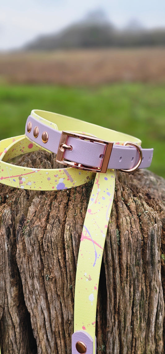 Lavender Lemonade - Waterproof BioThane© Splatter Dog Collar - Pastel Collection