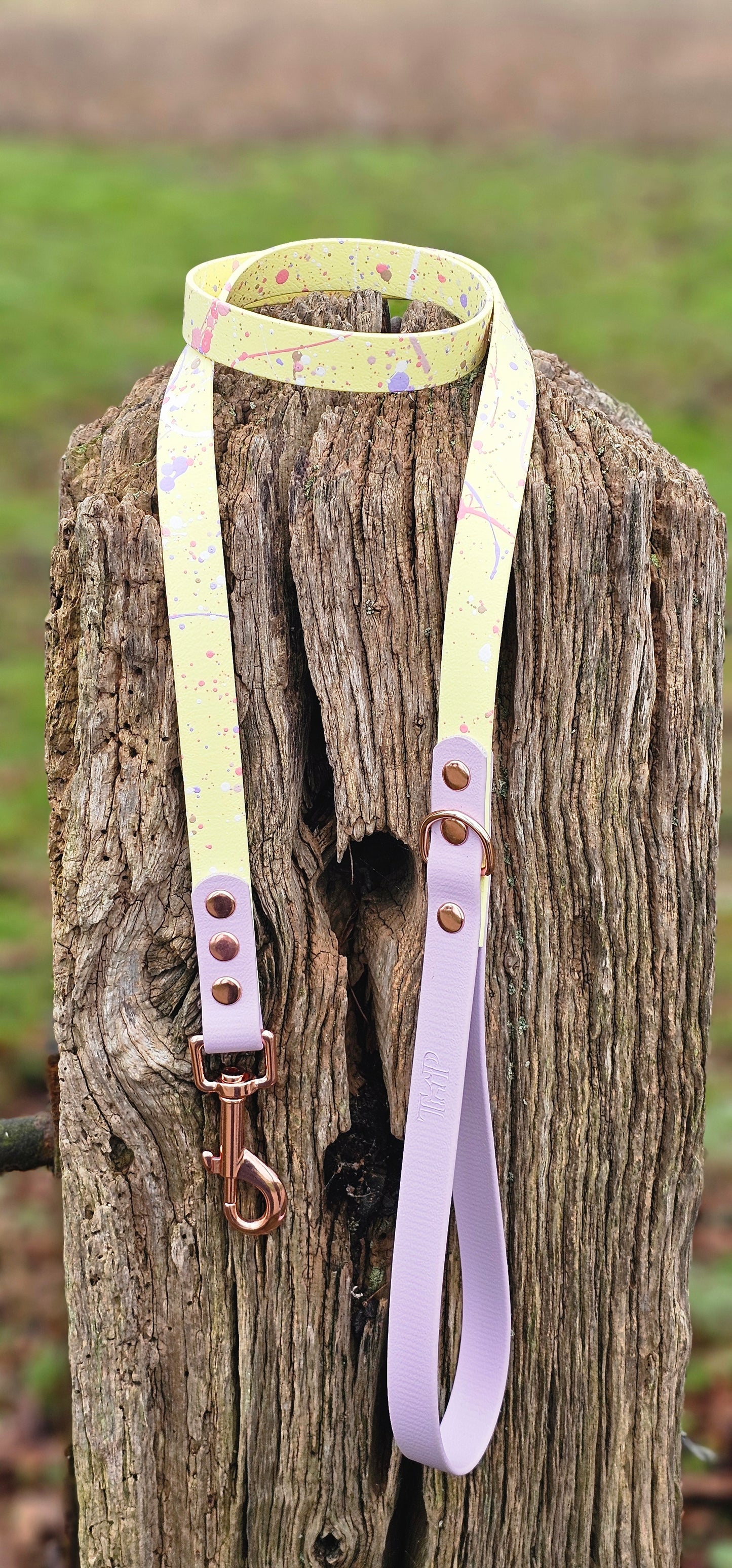 Lavender Lemonade - Waterproof BioThane© Splatter Dog Lead - Pastel Collection