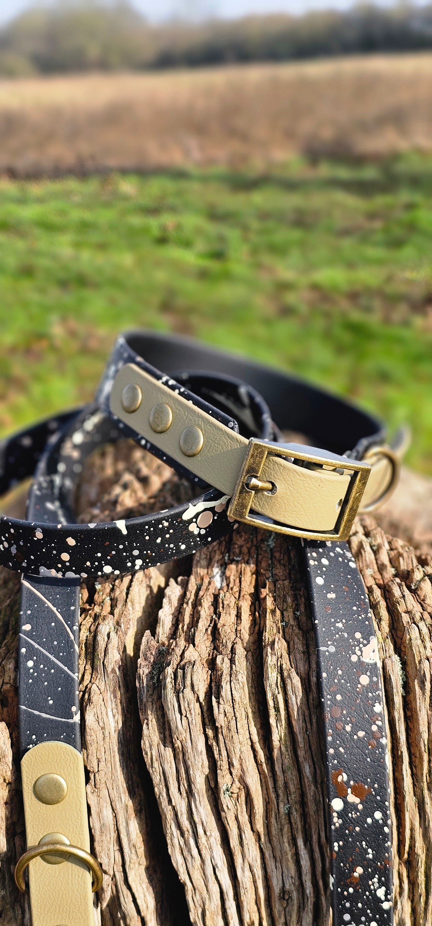 Ironstone - Waterproof BioThane© Splatter Dog Collar - Terra Collection