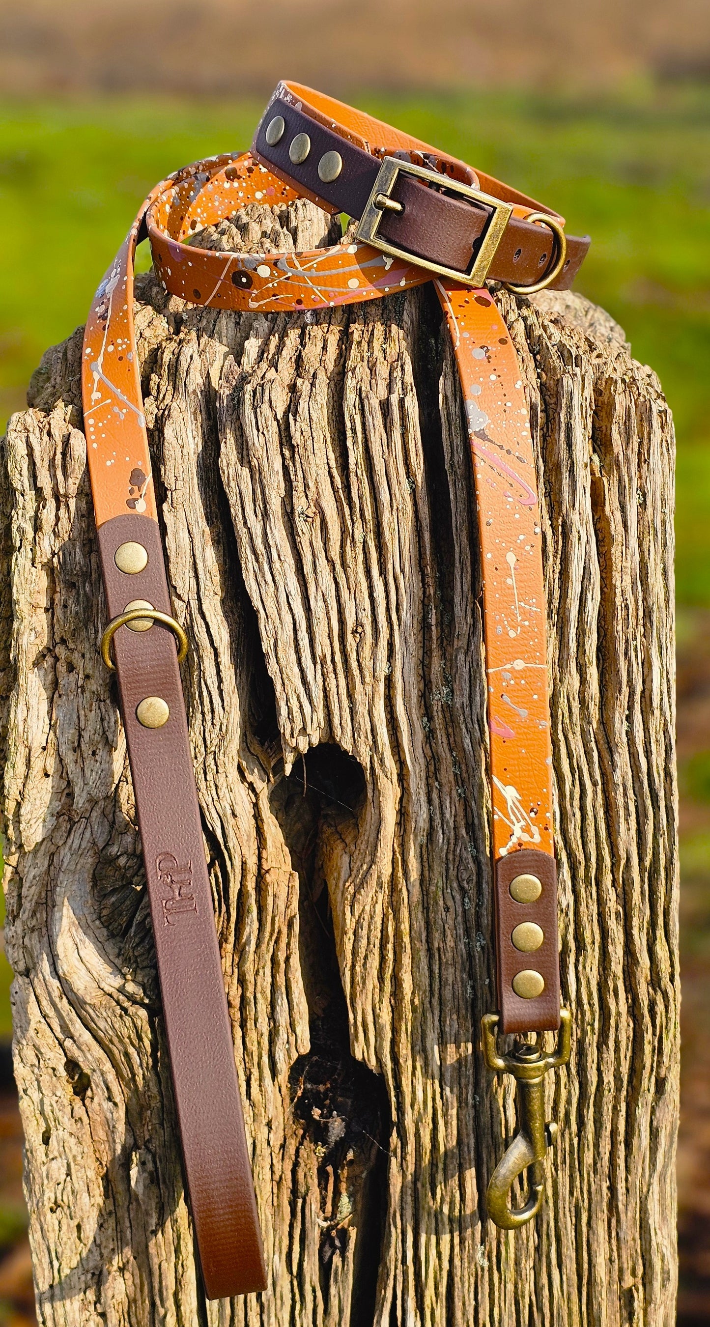 Timberline - Waterproof BioThane© Splatter Dog Lead - Terra Collection