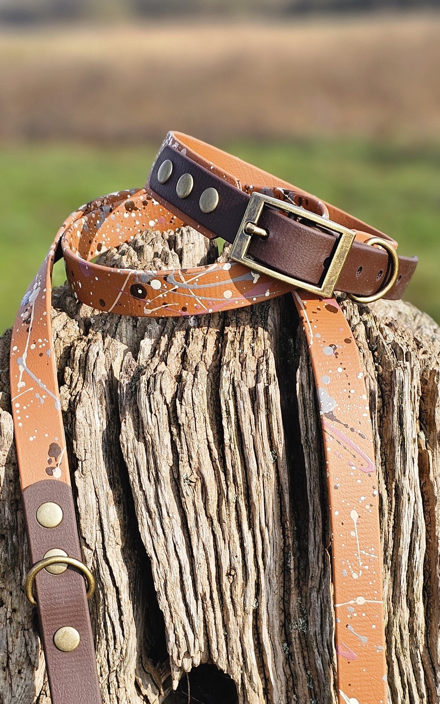 Timberline - Waterproof BioThane© Splatter Dog Collar - Terra Collection