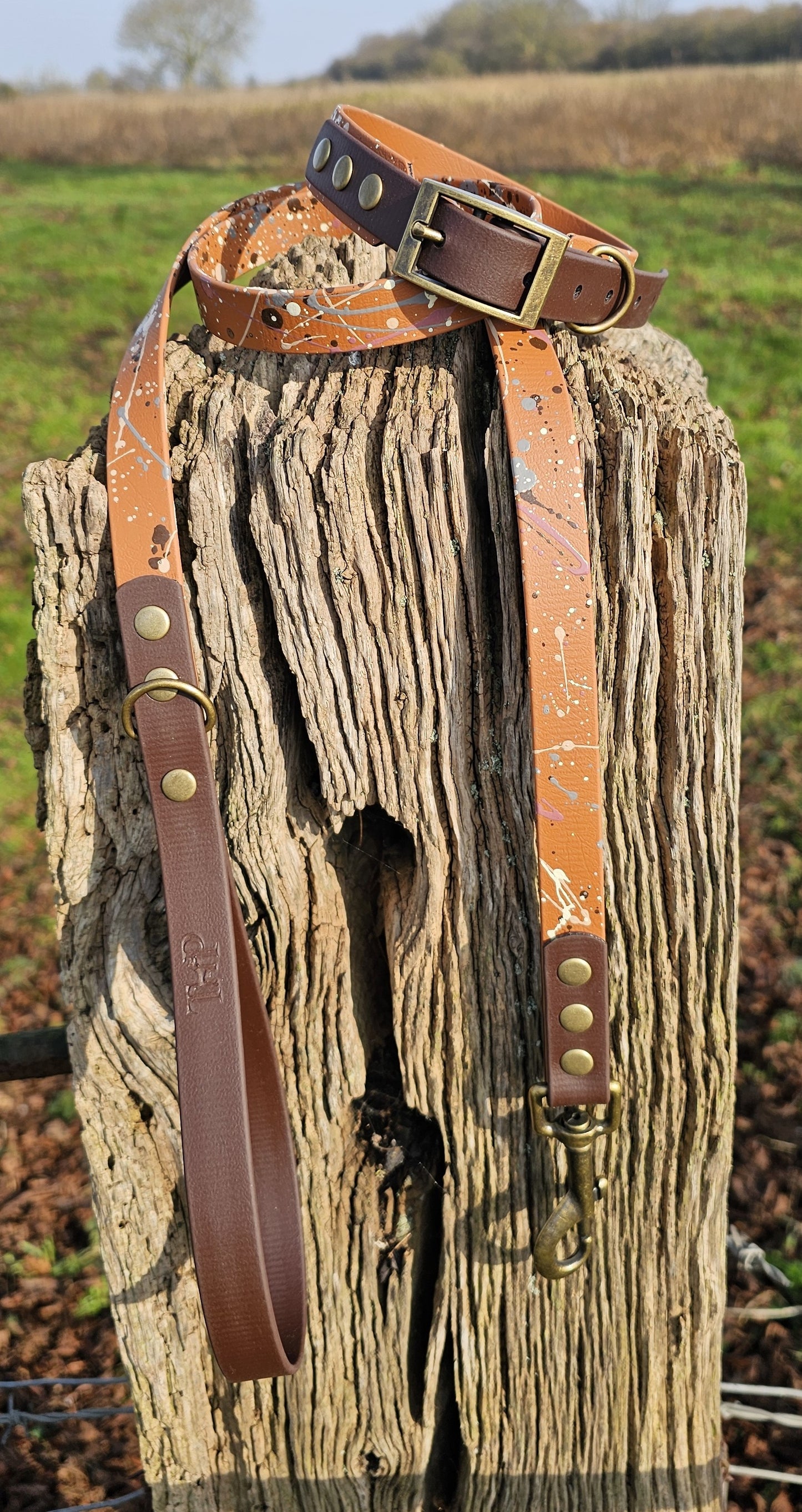 Timberline - Waterproof BioThane© Splatter Dog Lead - Terra Collection