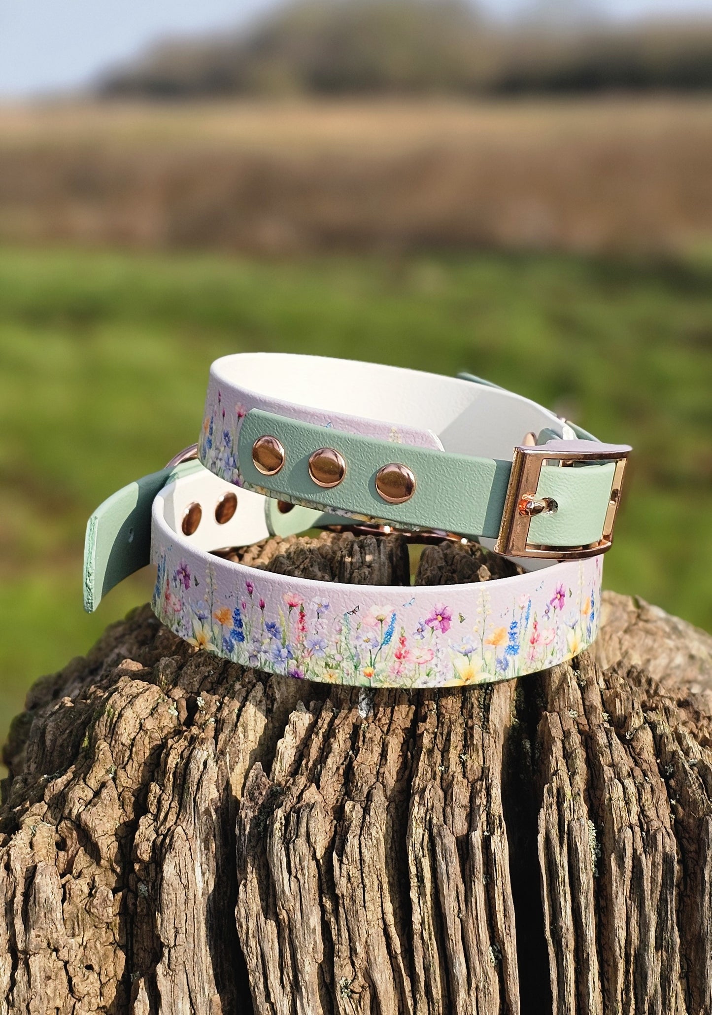 Wildflower Meadow - Printed Waterproof BioThane© Dog Collar