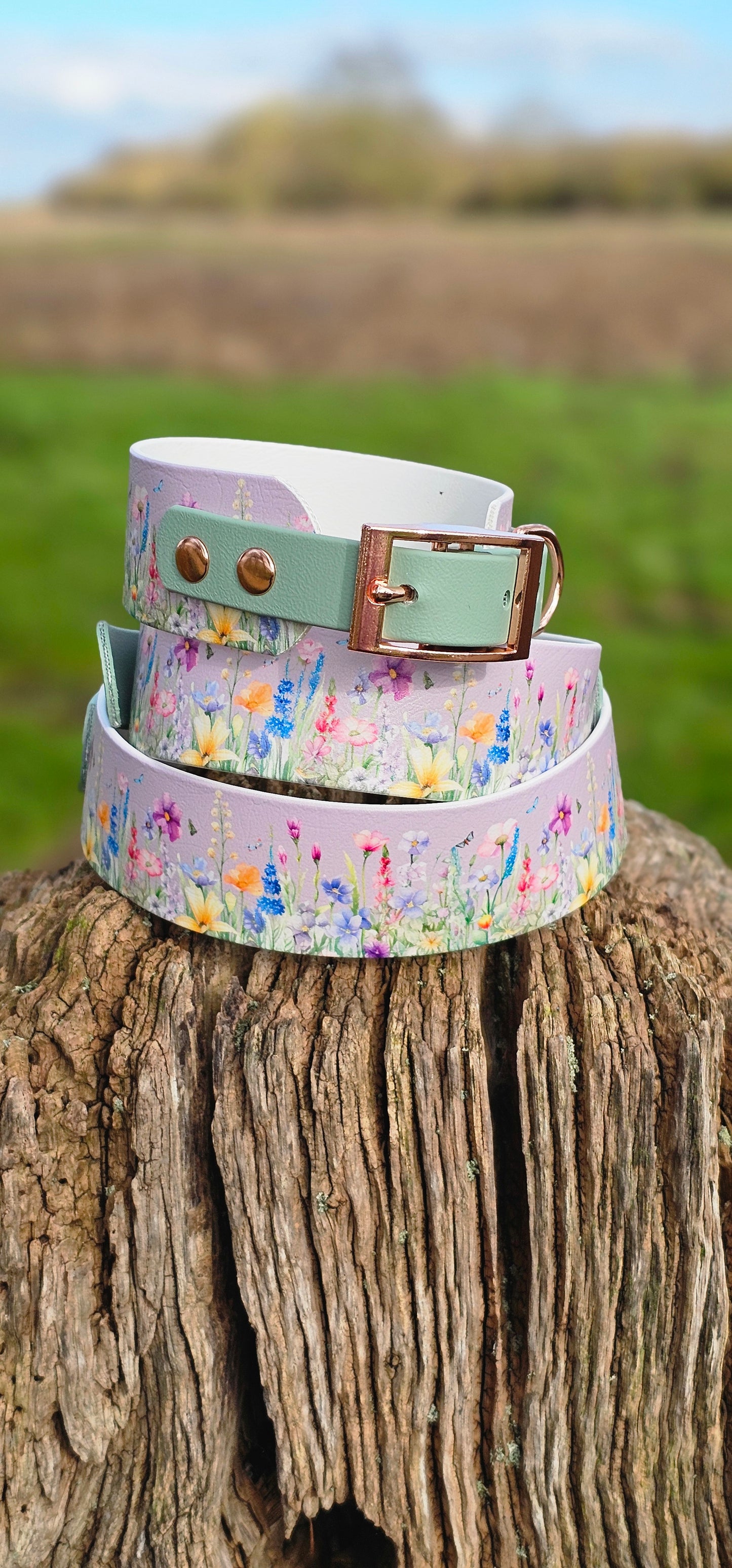 Wildflower Meadow  - Printed Waterproof BioThane® Sighthound Collar / wide-fit Dog Collar