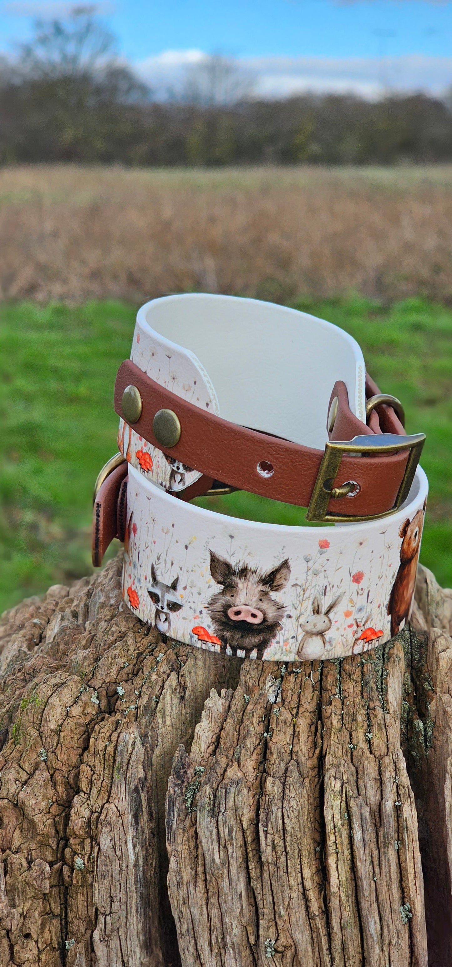 Hello Woodland - Printed Waterproof BioThane© wide-fit Dog Collar