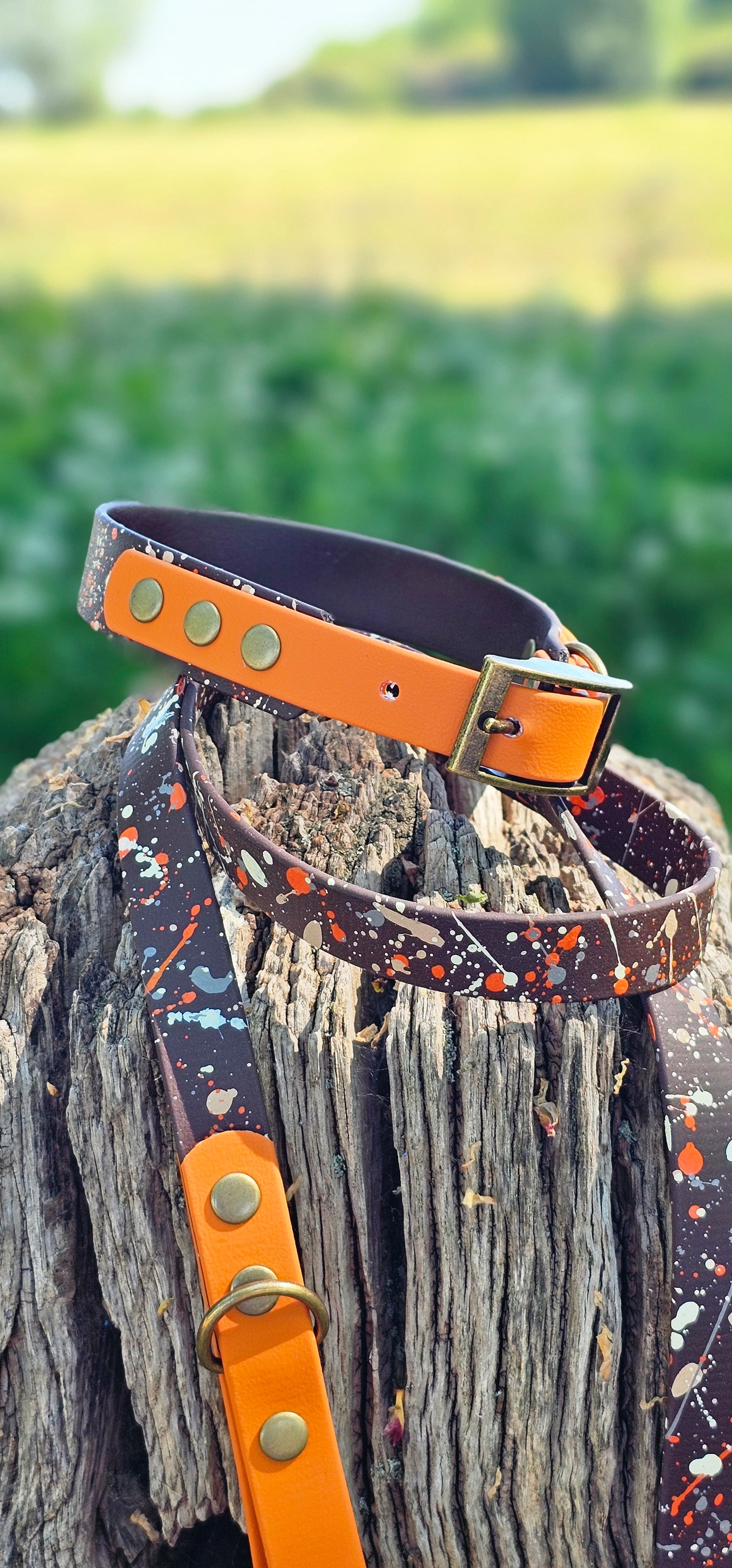 Fireside - Waterproof BioThane© Splatter Dog Lead - Terra Collection
