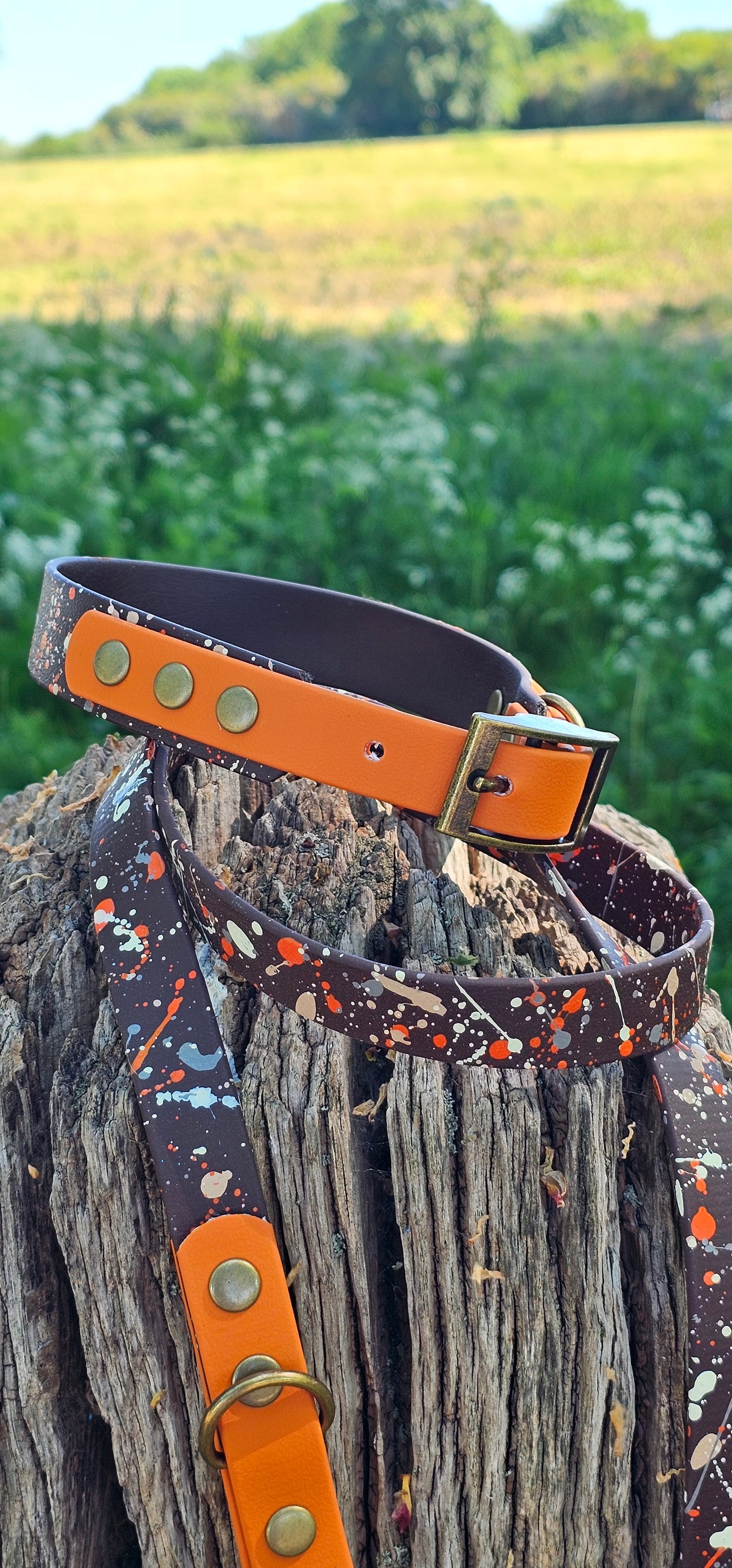 Fireside - Waterproof BioThane© Splatter Dog Collar - Terra Collection