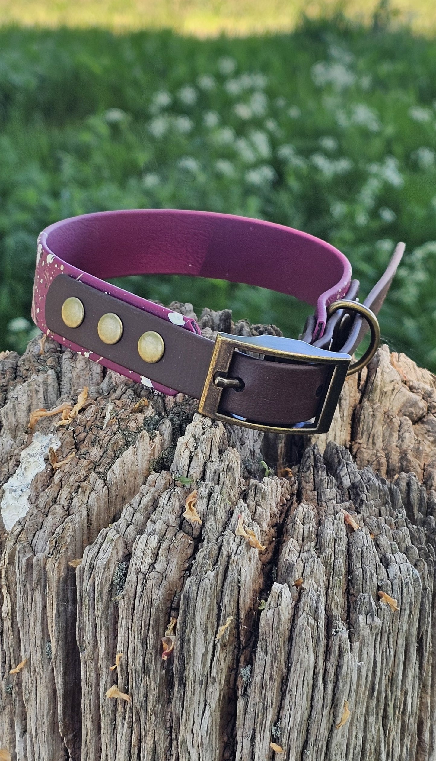Emberstone - Waterproof BioThane© Splatter Dog Collar - Terra Collection