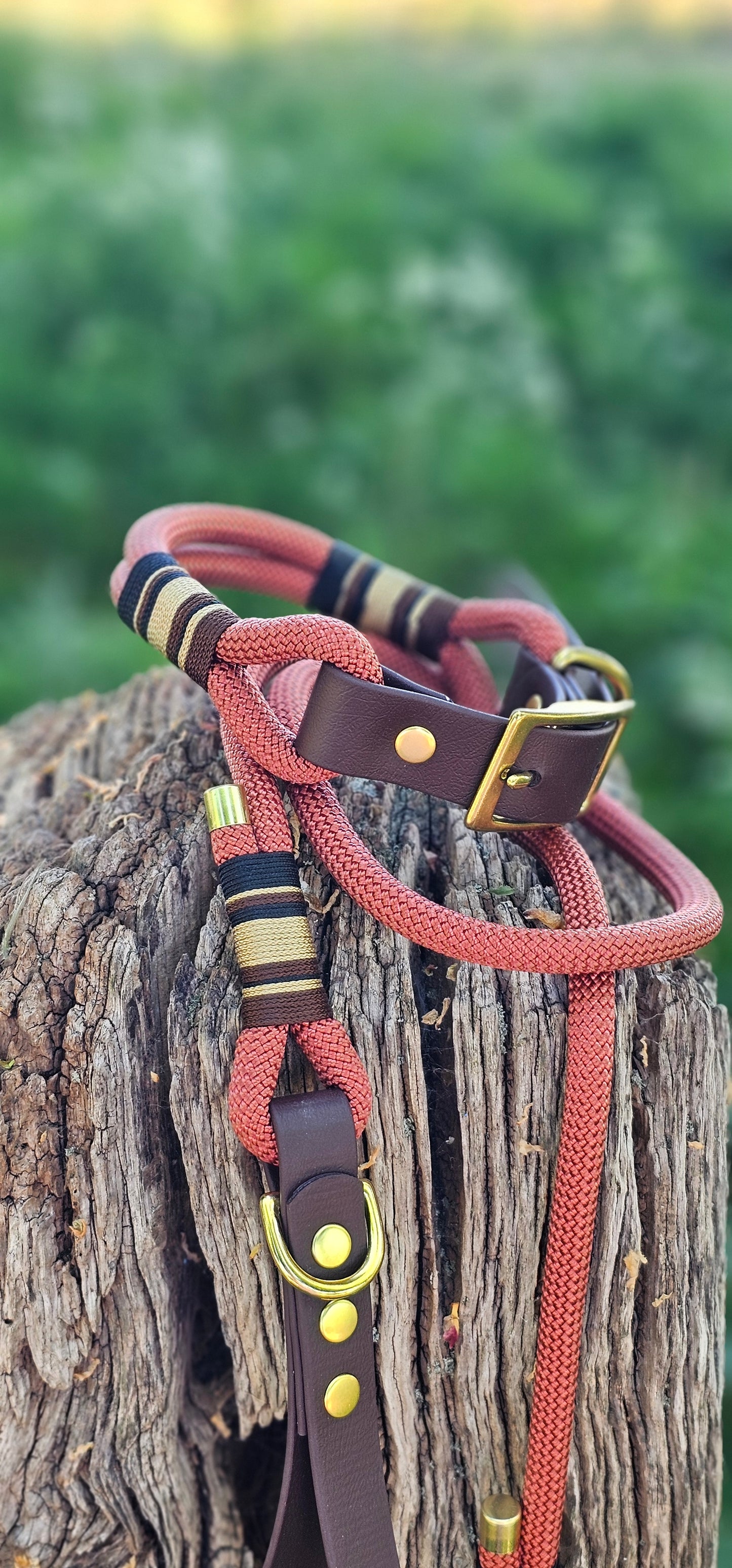 Burford - Premium Rope Dog Collar
