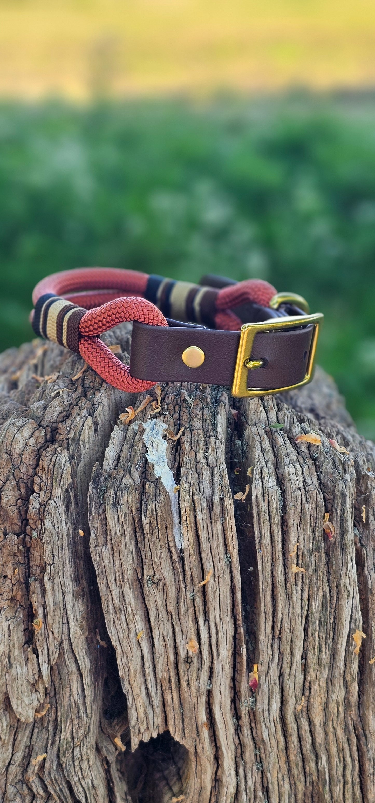 Burford - Premium Rope Dog Collar