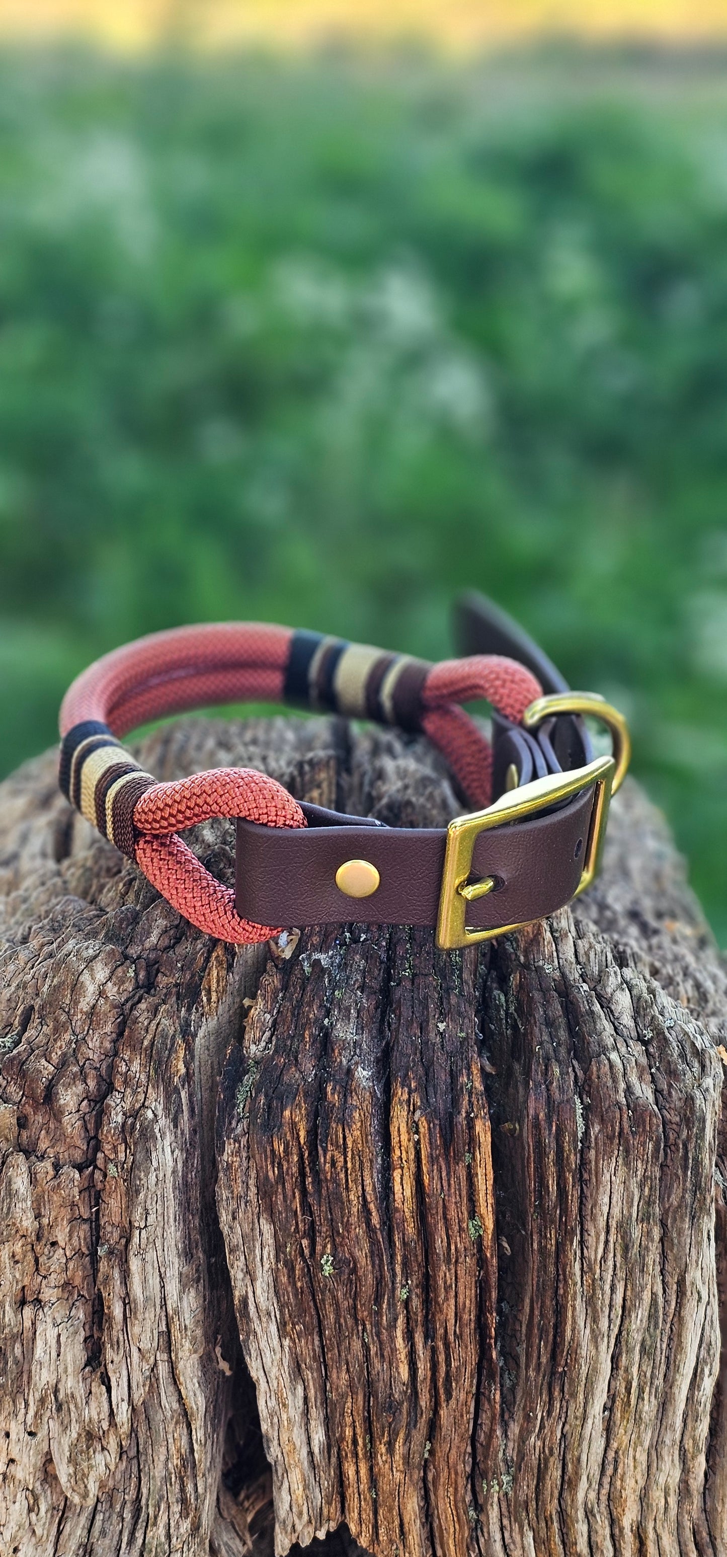 Burford - Premium Rope Dog Collar