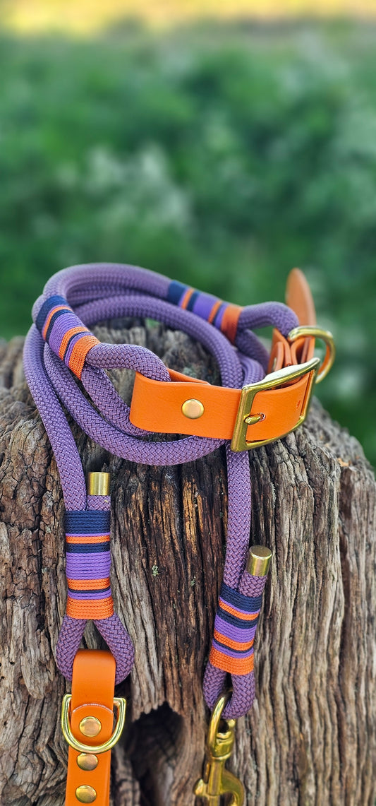 Ascot - Premium Rope Dog Collar