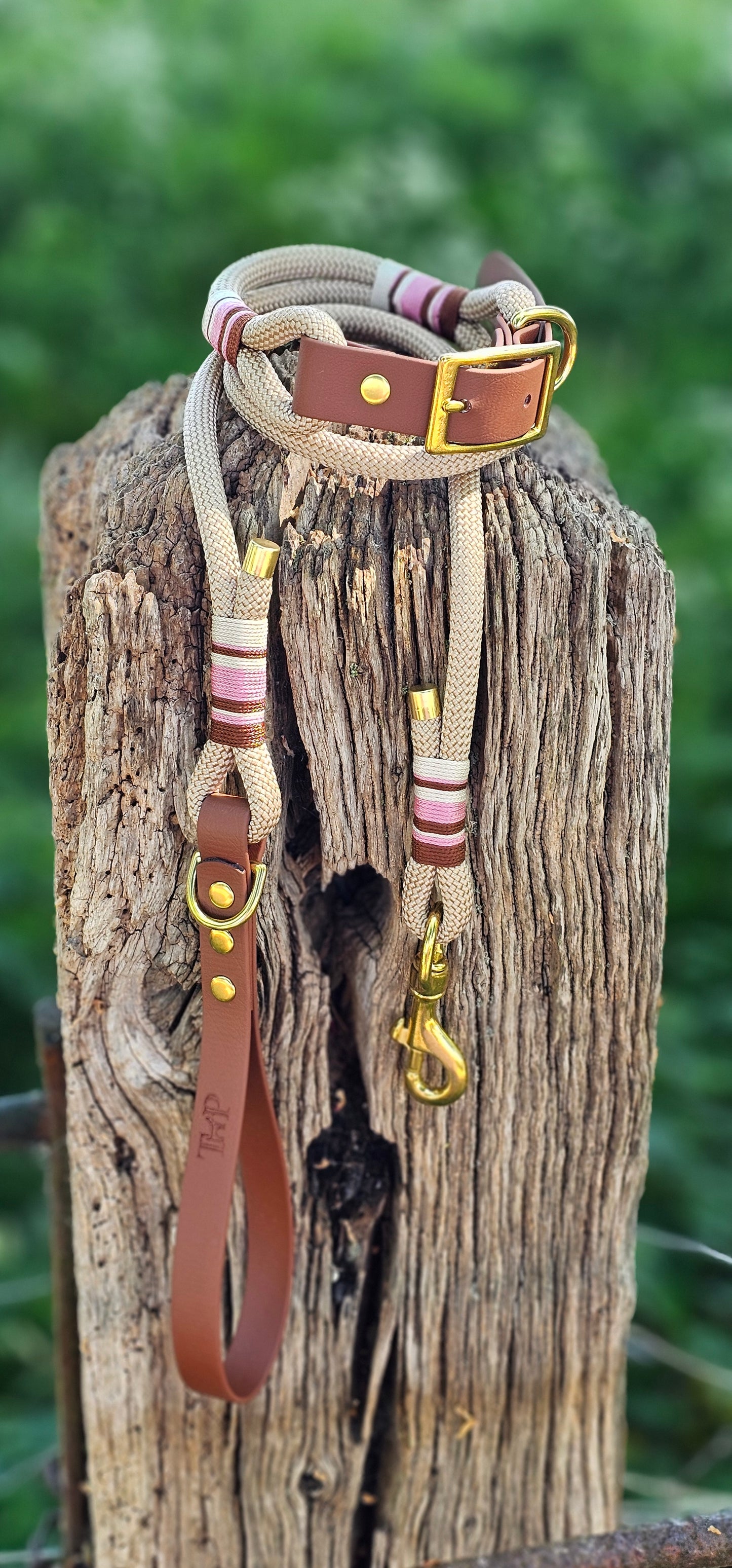 Cotswold - Premium Rope Dog Lead