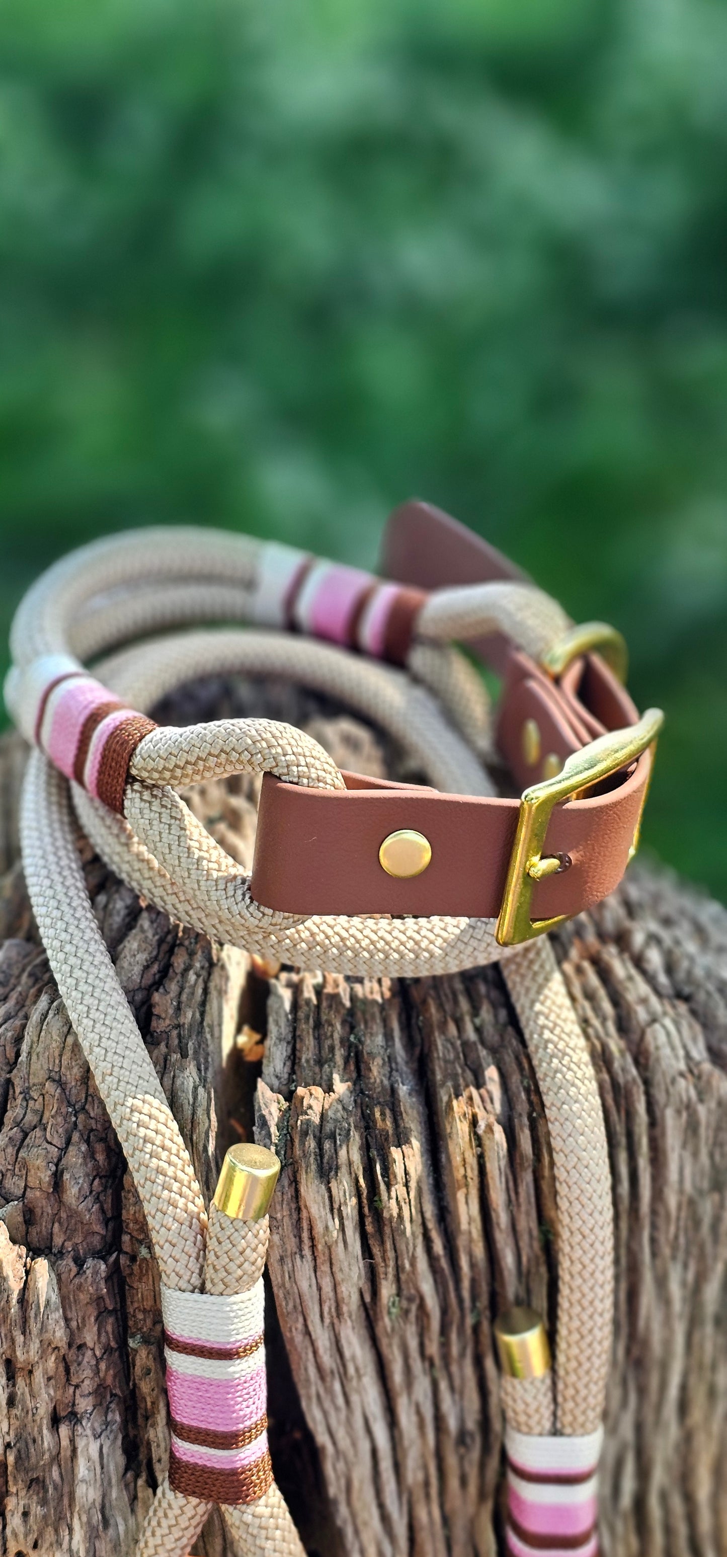 Cotswold - Premium Rope Dog Collar