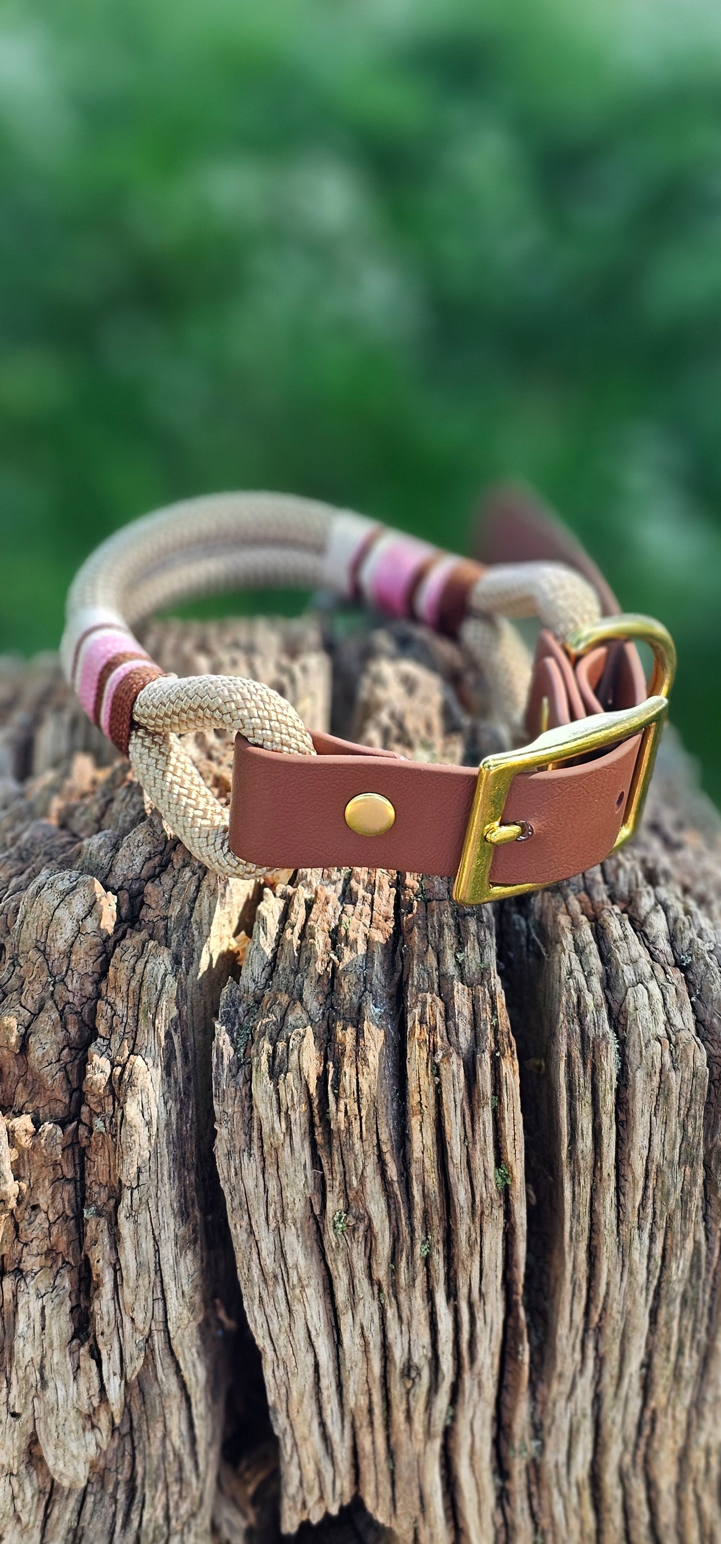 Cotswold - Premium Rope Dog Collar
