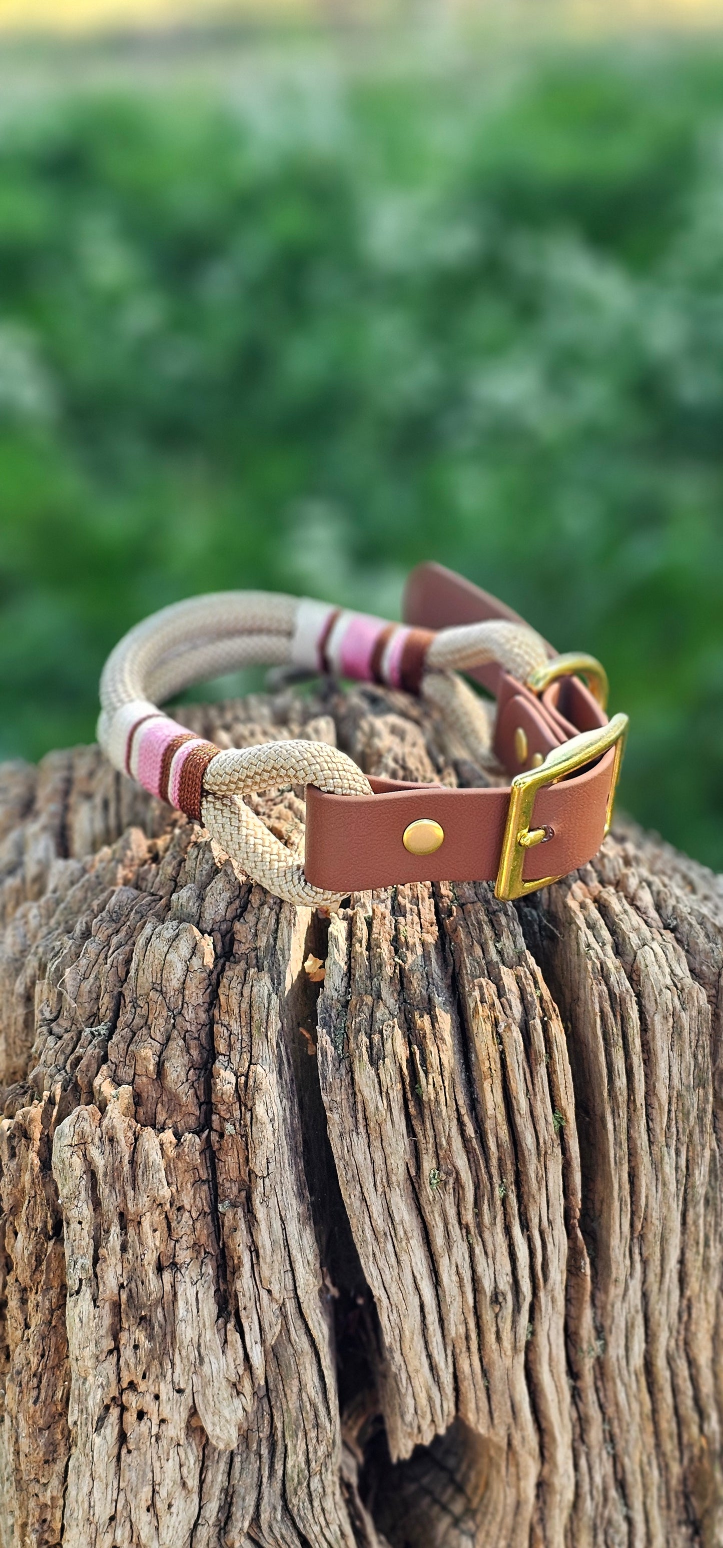 Cotswold - Premium Rope Dog Collar