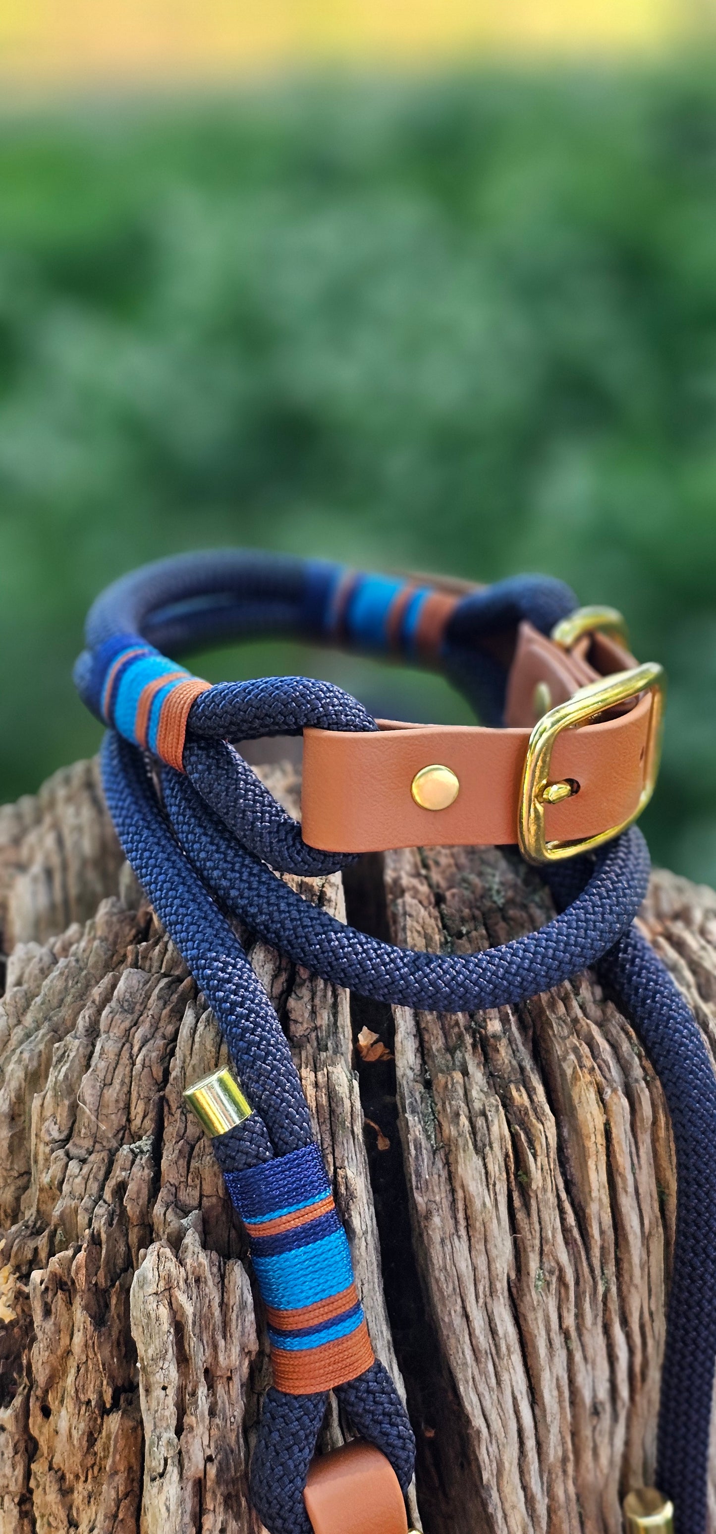 Windsor - Premium Rope Dog Collar