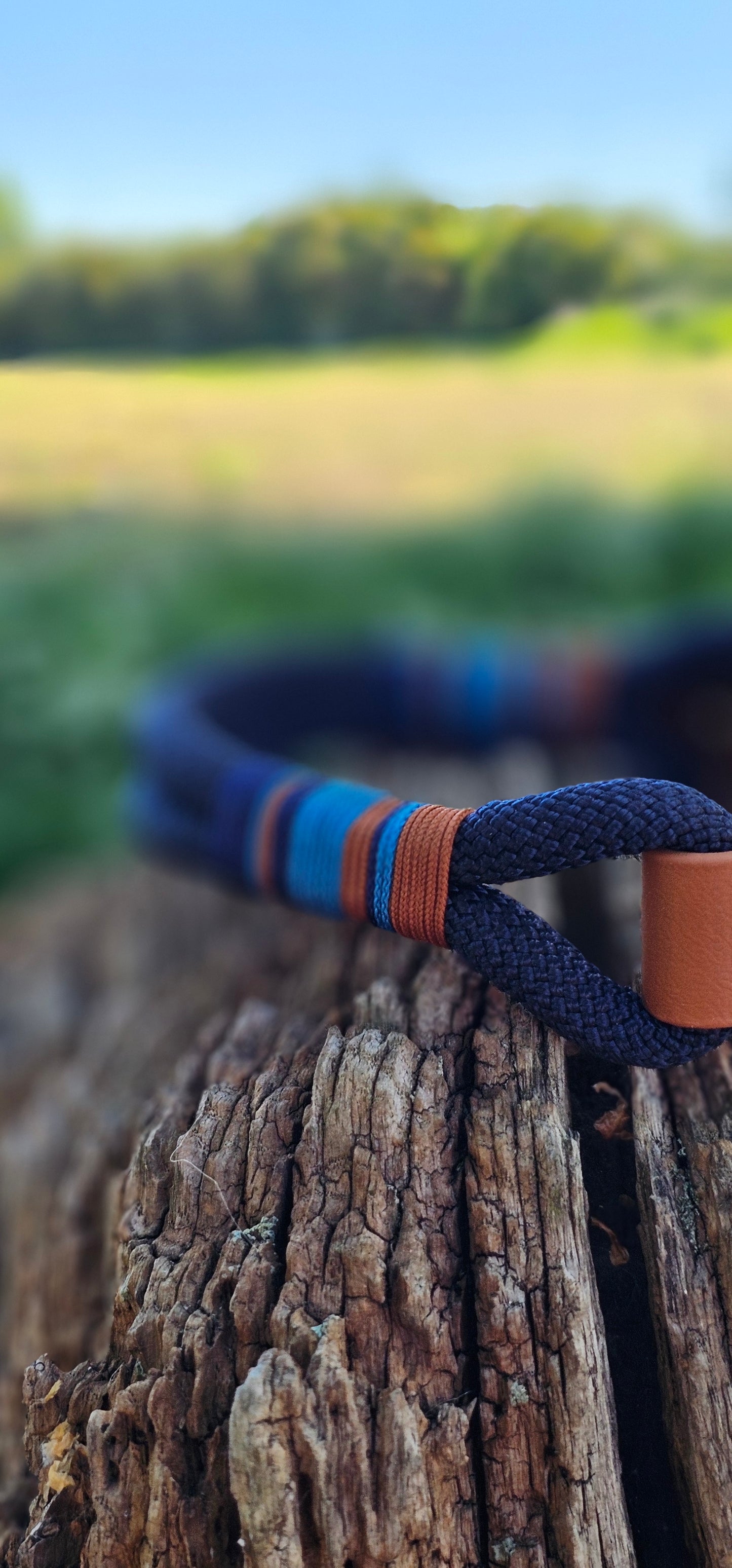 Windsor - Premium Rope Dog Lead