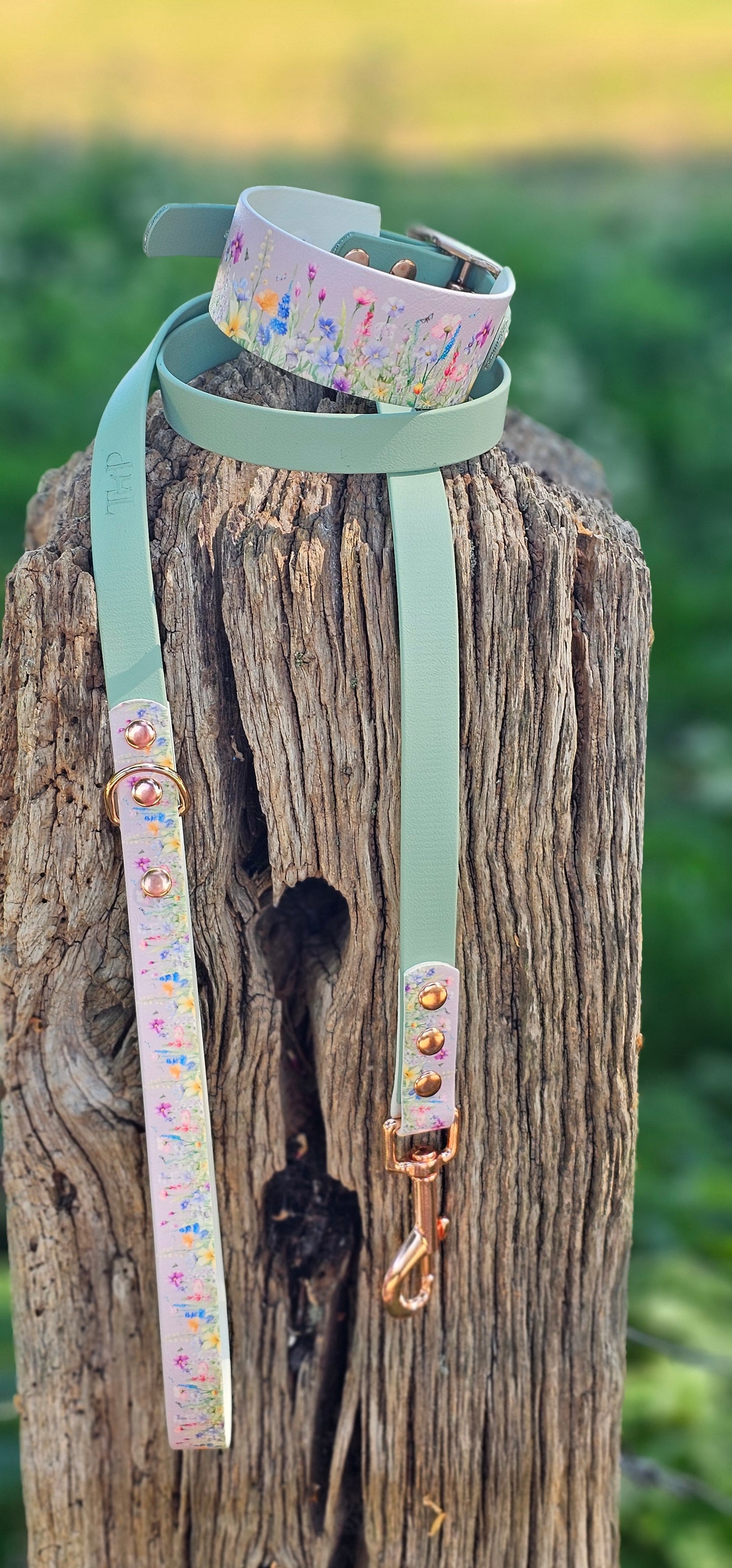 Wildflower Meadow  - Printed Waterproof BioThane® Sighthound Collar / wide-fit Dog Collar