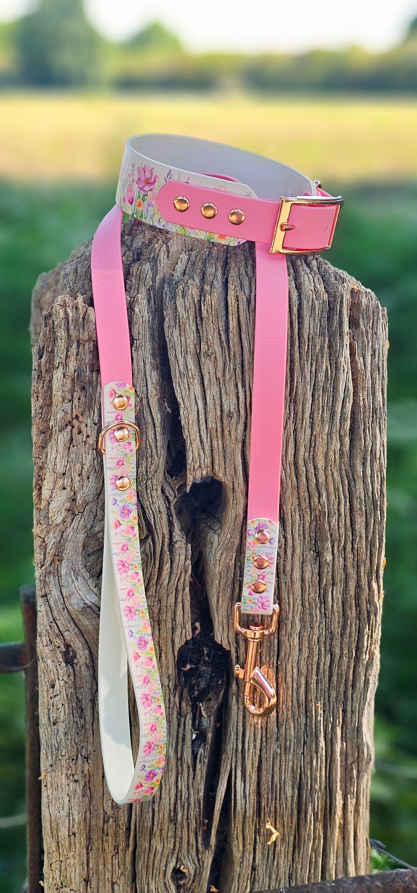 Pink Blossom - Printed Waterproof BioThane® Sighthound Collar / wide-fit Dog Collar