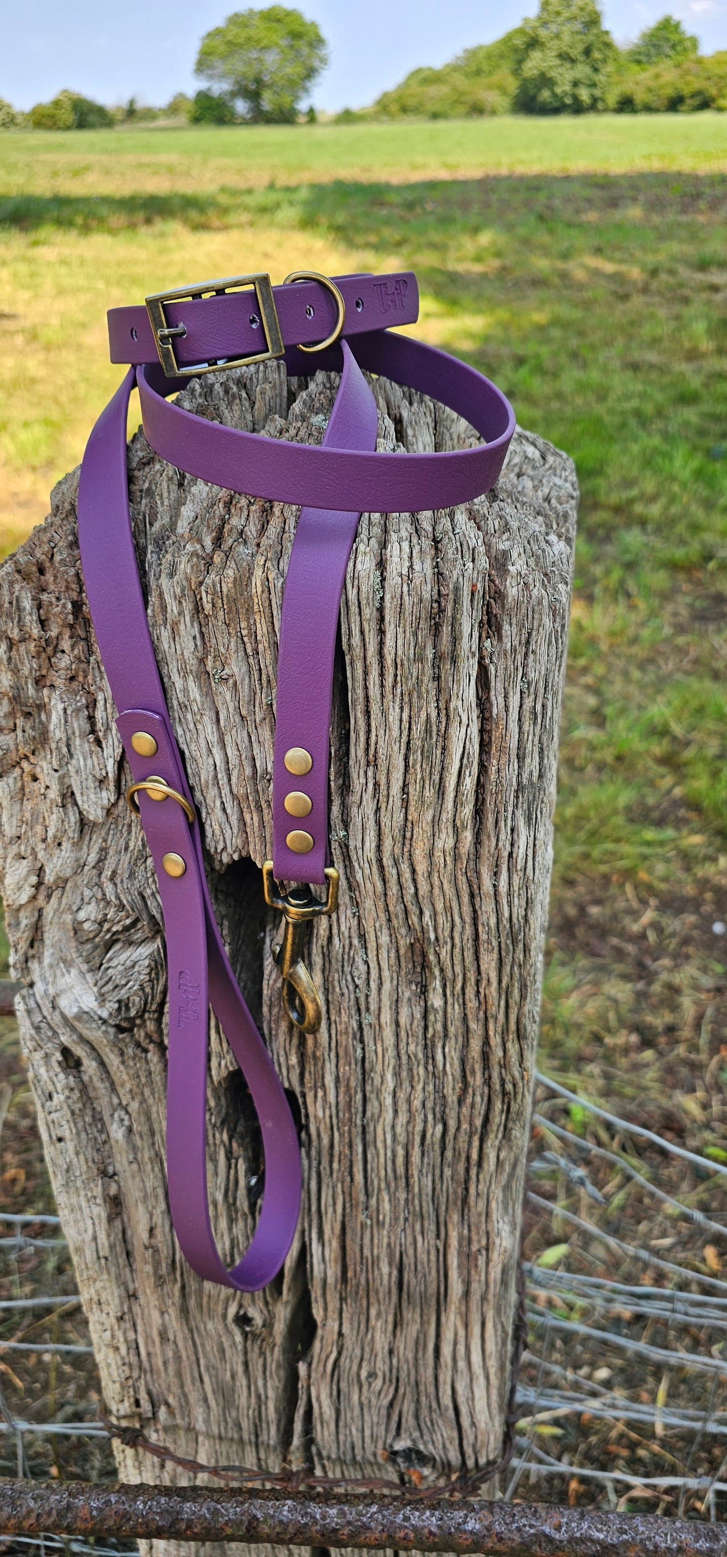 Aubergine - Waterproof BioThane© Dog Lead