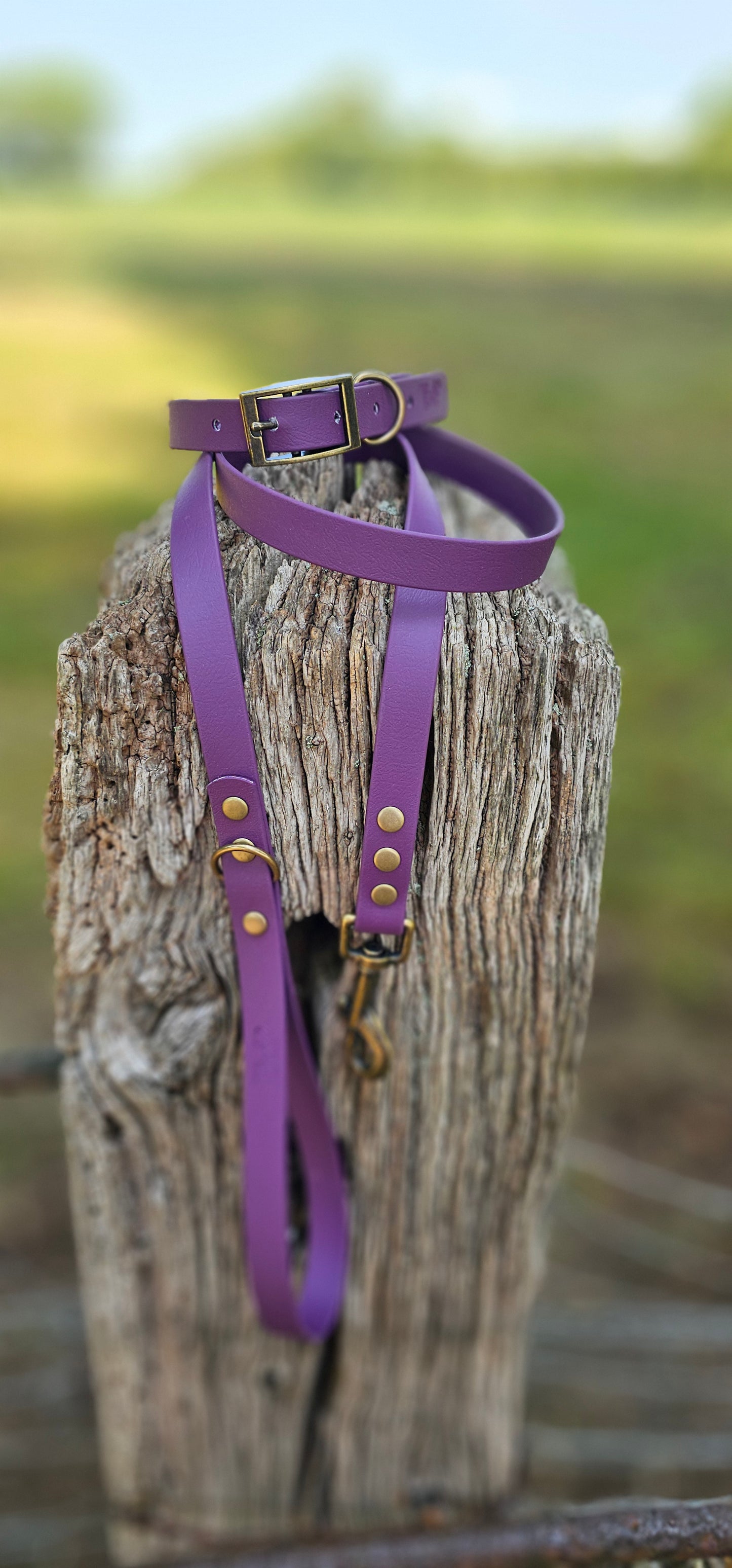 Aubergine - Waterproof BioThane© Dog Lead