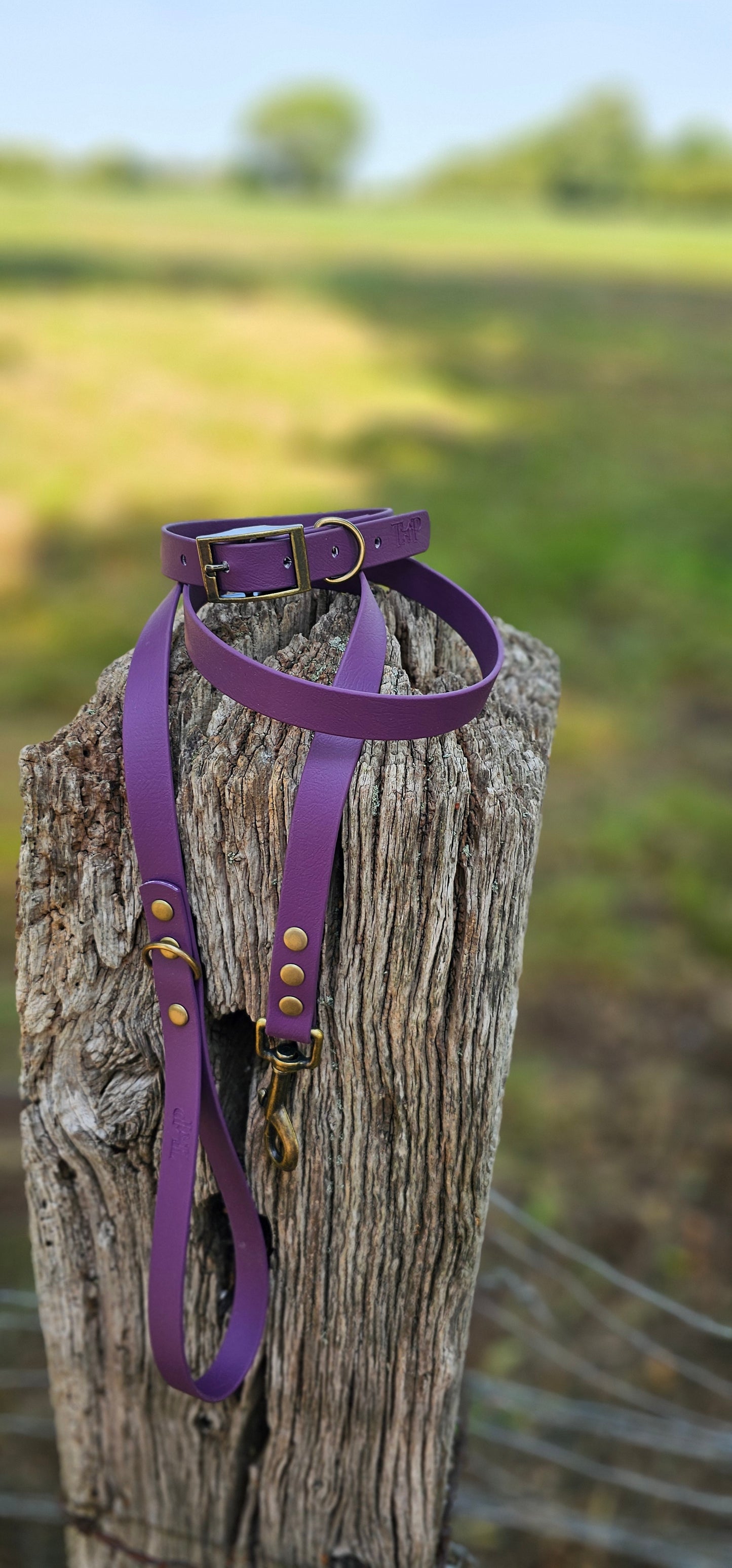 Aubergine - Waterproof BioThane© Dog Lead