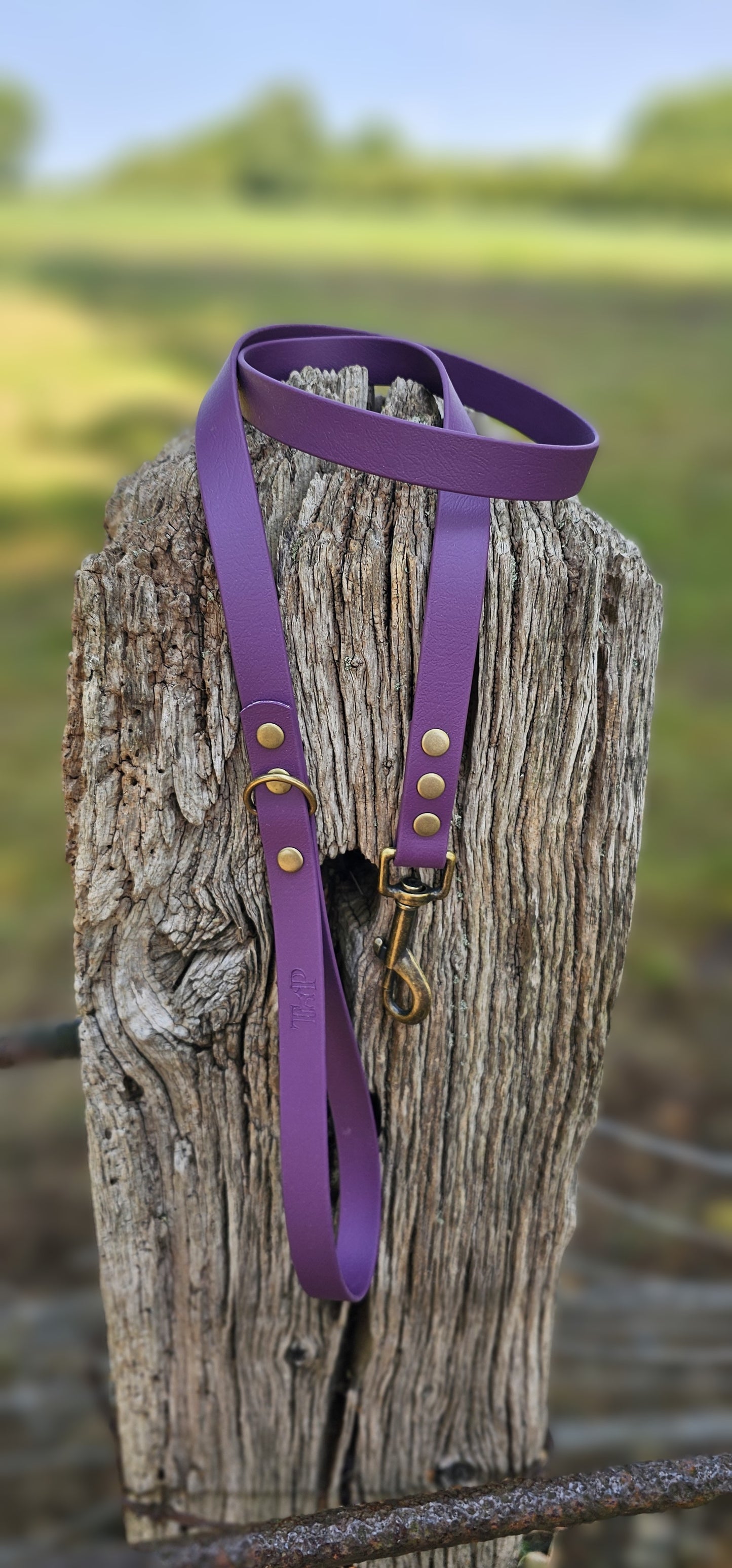 Aubergine - Waterproof BioThane© Dog Lead
