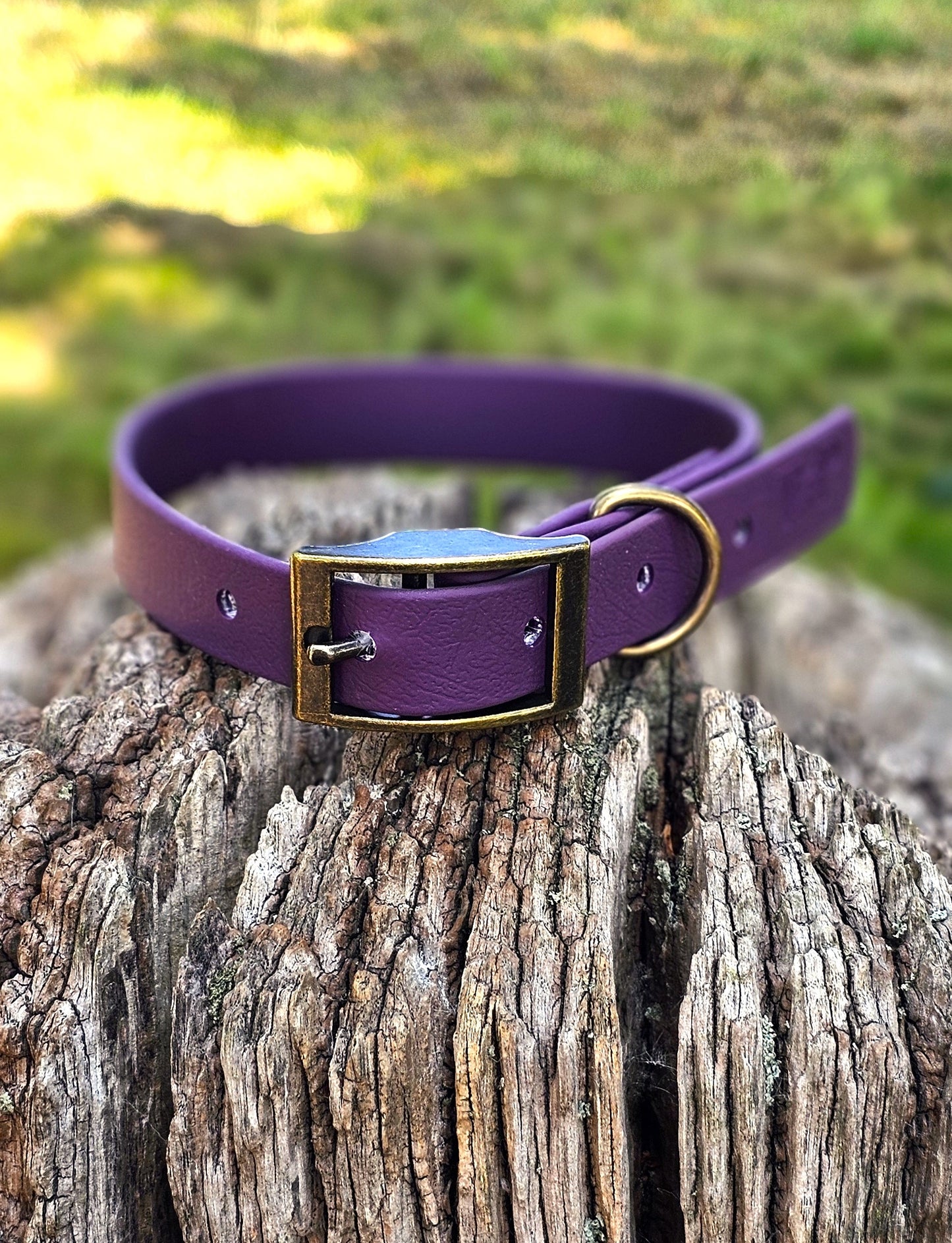 Aubergine - Waterproof BioThane© Dog Collar