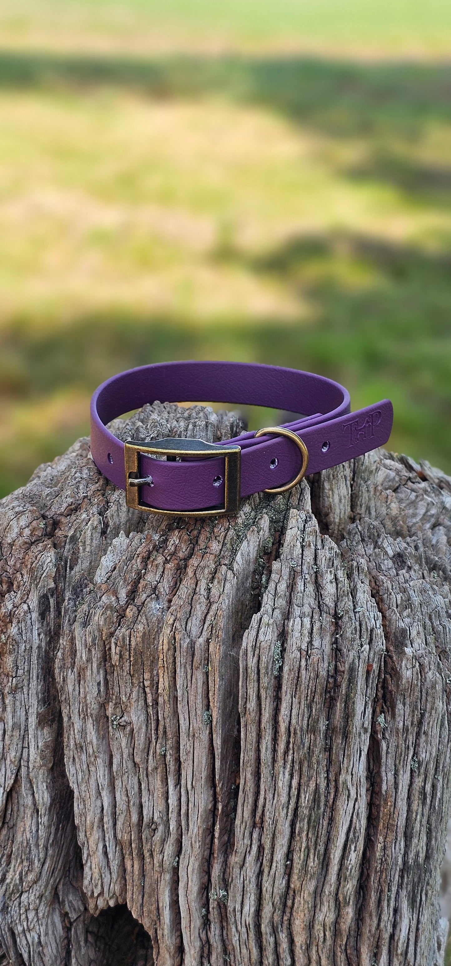 Aubergine - Waterproof BioThane© Dog Collar