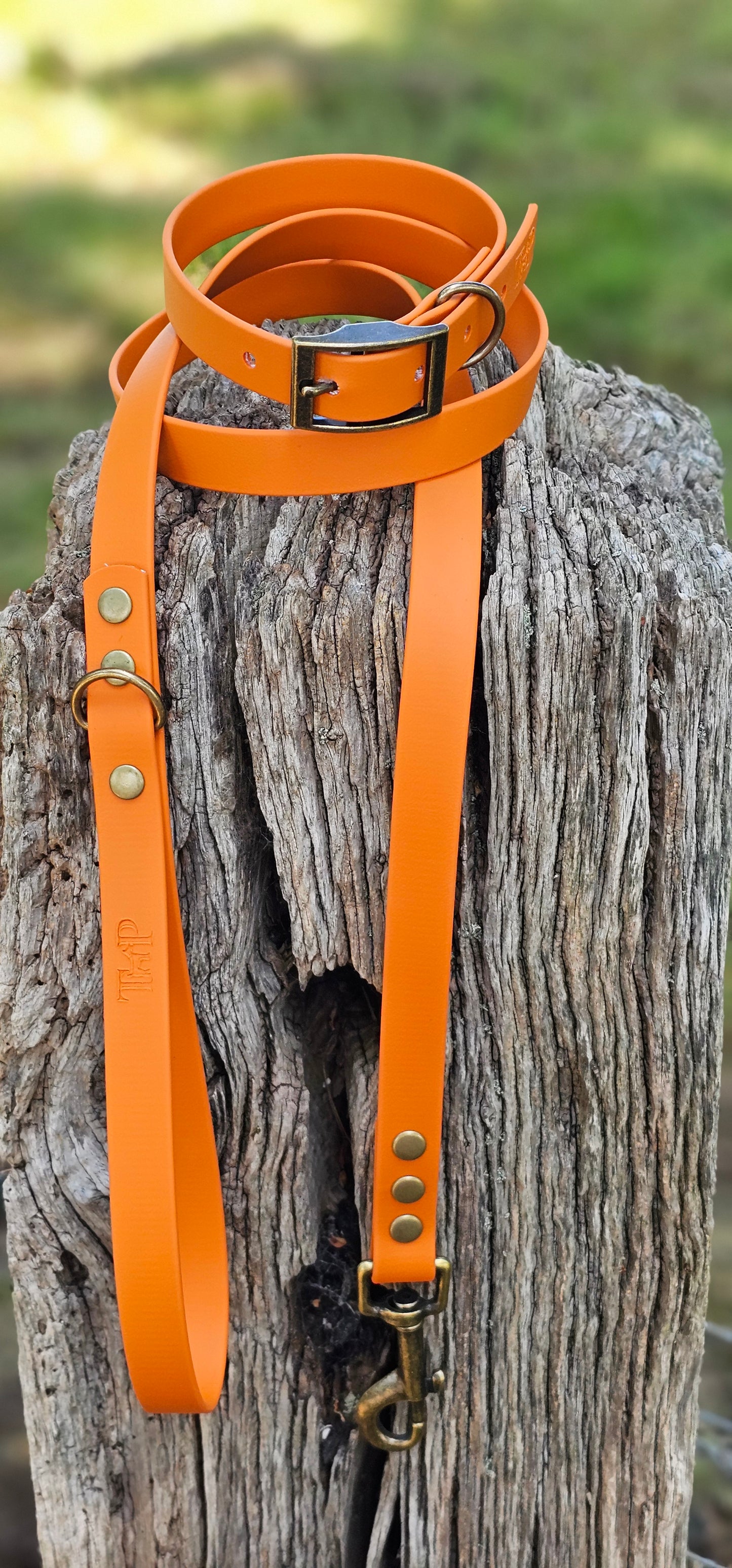 Burnt Orange - Waterproof BioThane© Dog Lead