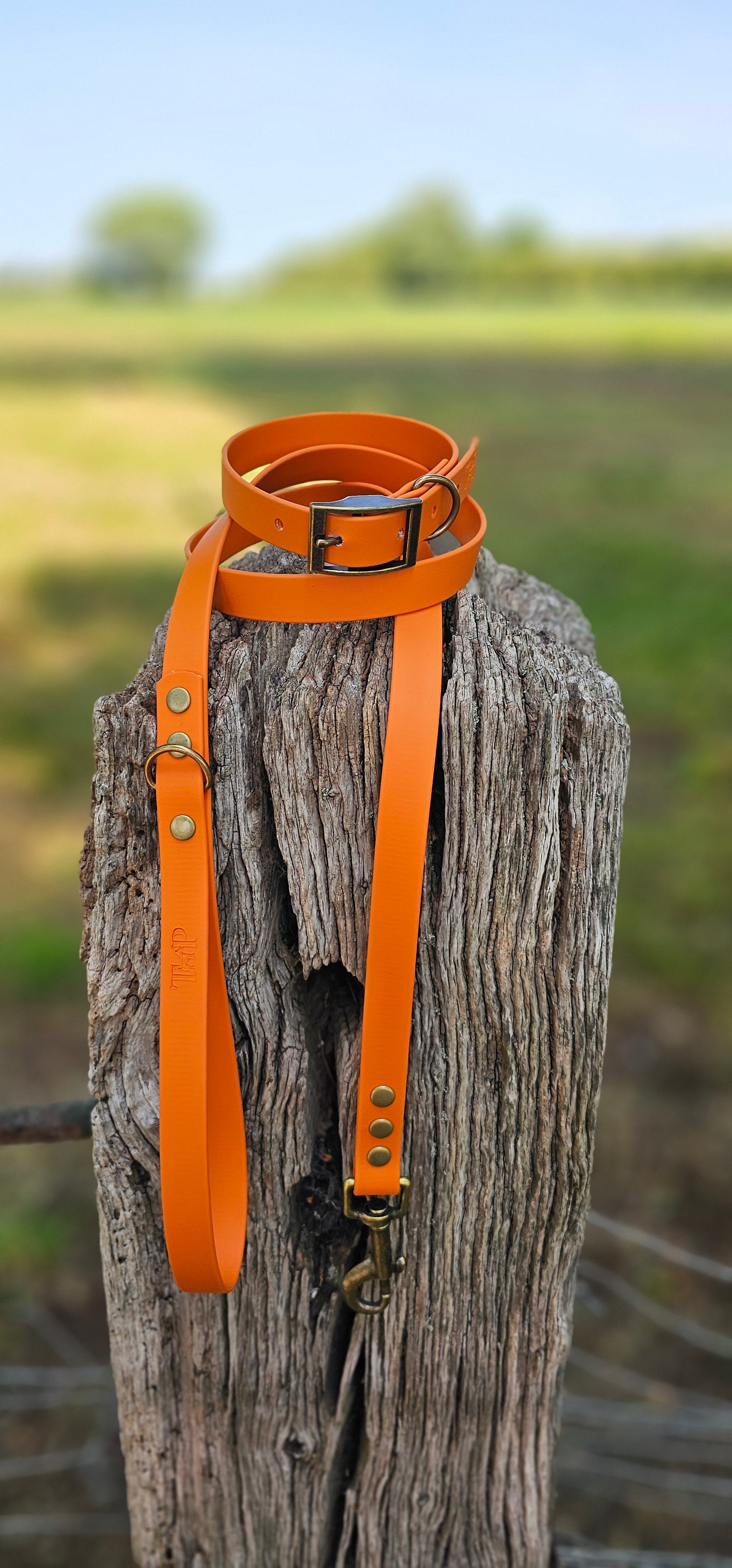 Burnt Orange - Waterproof BioThane© Dog Lead