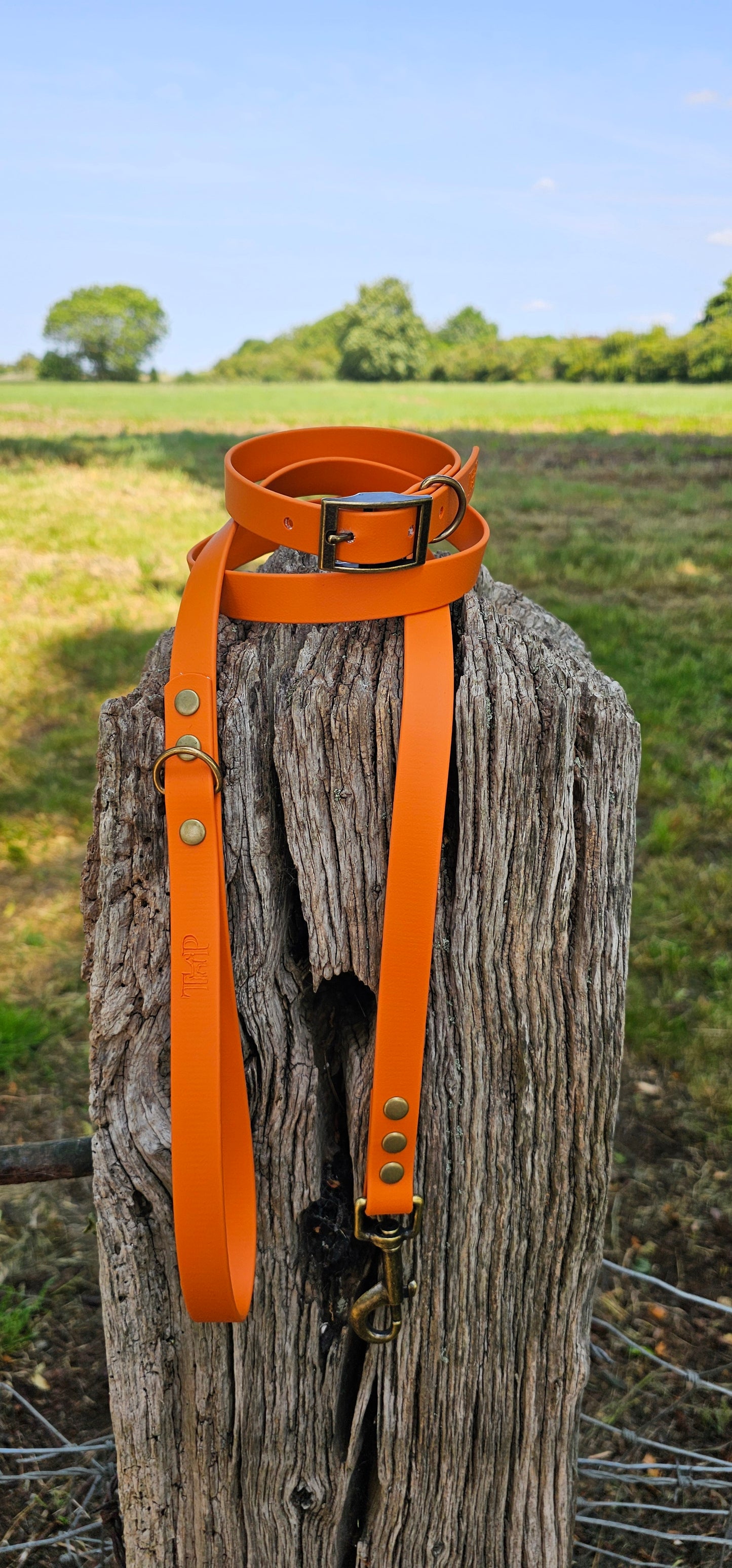 Burnt Orange - Waterproof BioThane© Dog Lead