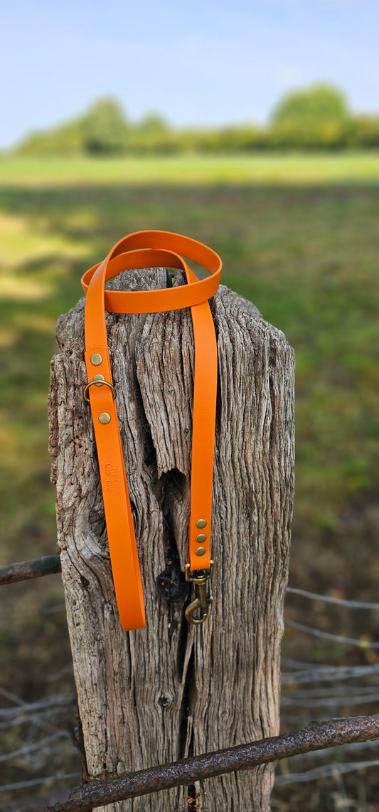Burnt Orange - Waterproof BioThane© Dog Lead